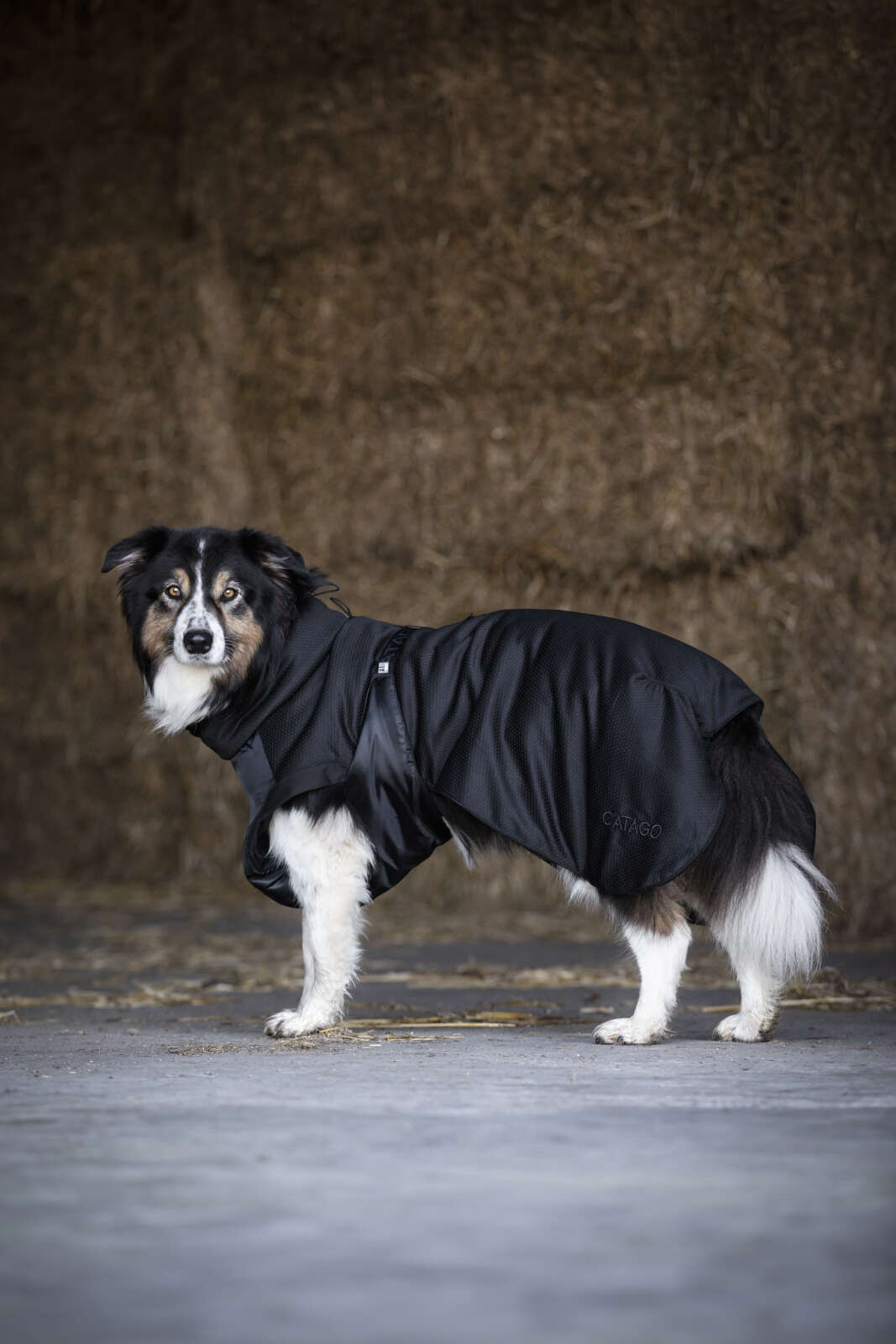 CATAGO FIR-Tech Hundedecke