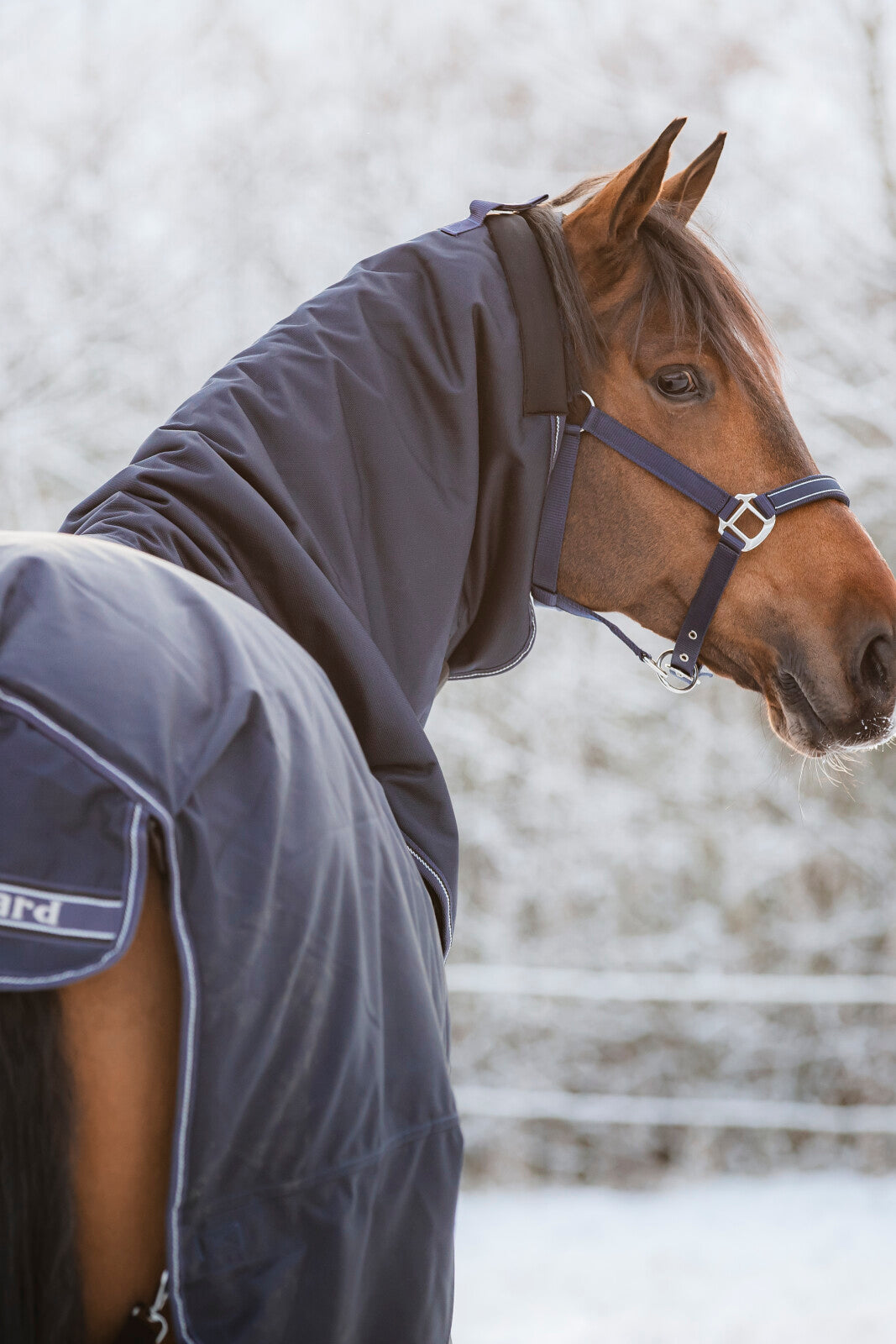 HorseGuard Lynn 1200D Combo Winter-Outdoordecke, 400g