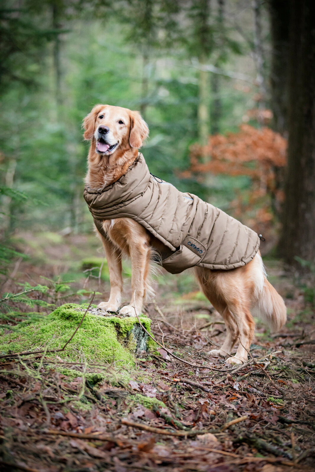 CATAGO FIR-Tech puffer dog rug