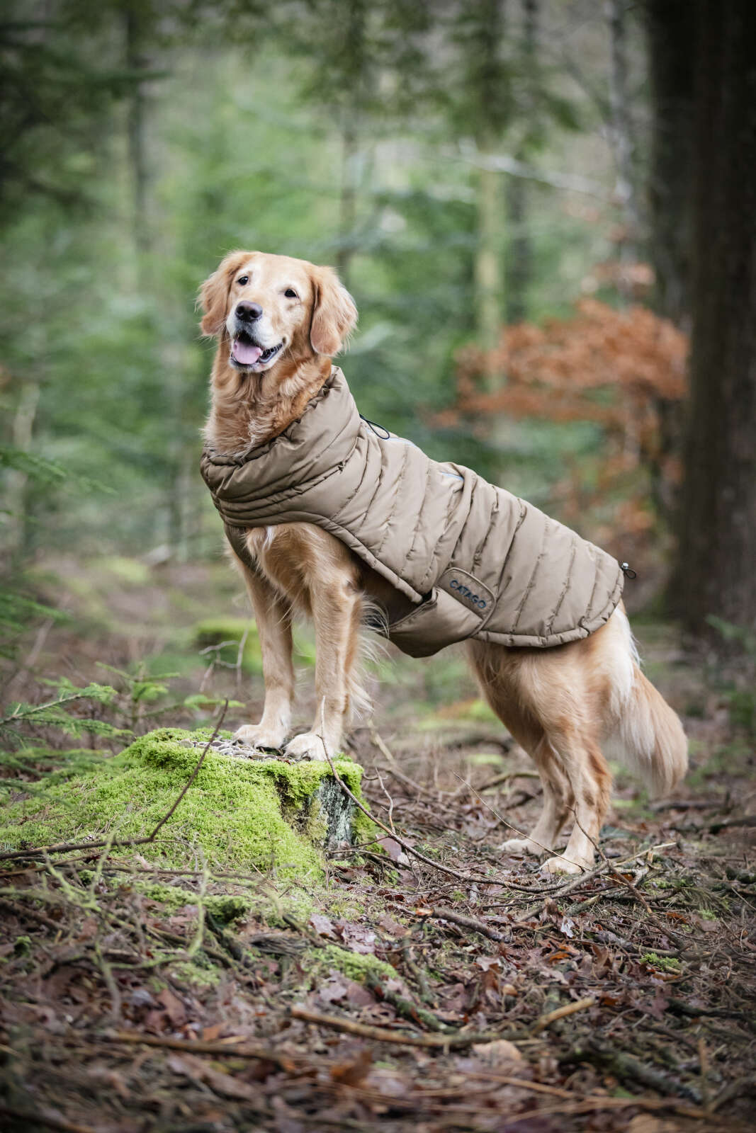 CATAGO FIR-Tech puffer hundedækken
