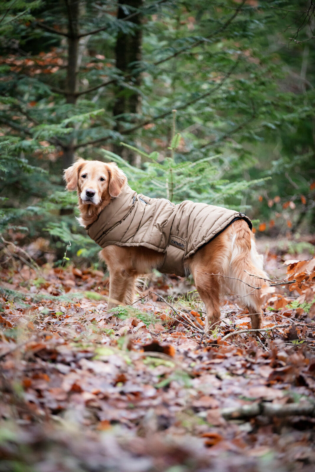 CATAGO FIR-Tech puffer hundedækken