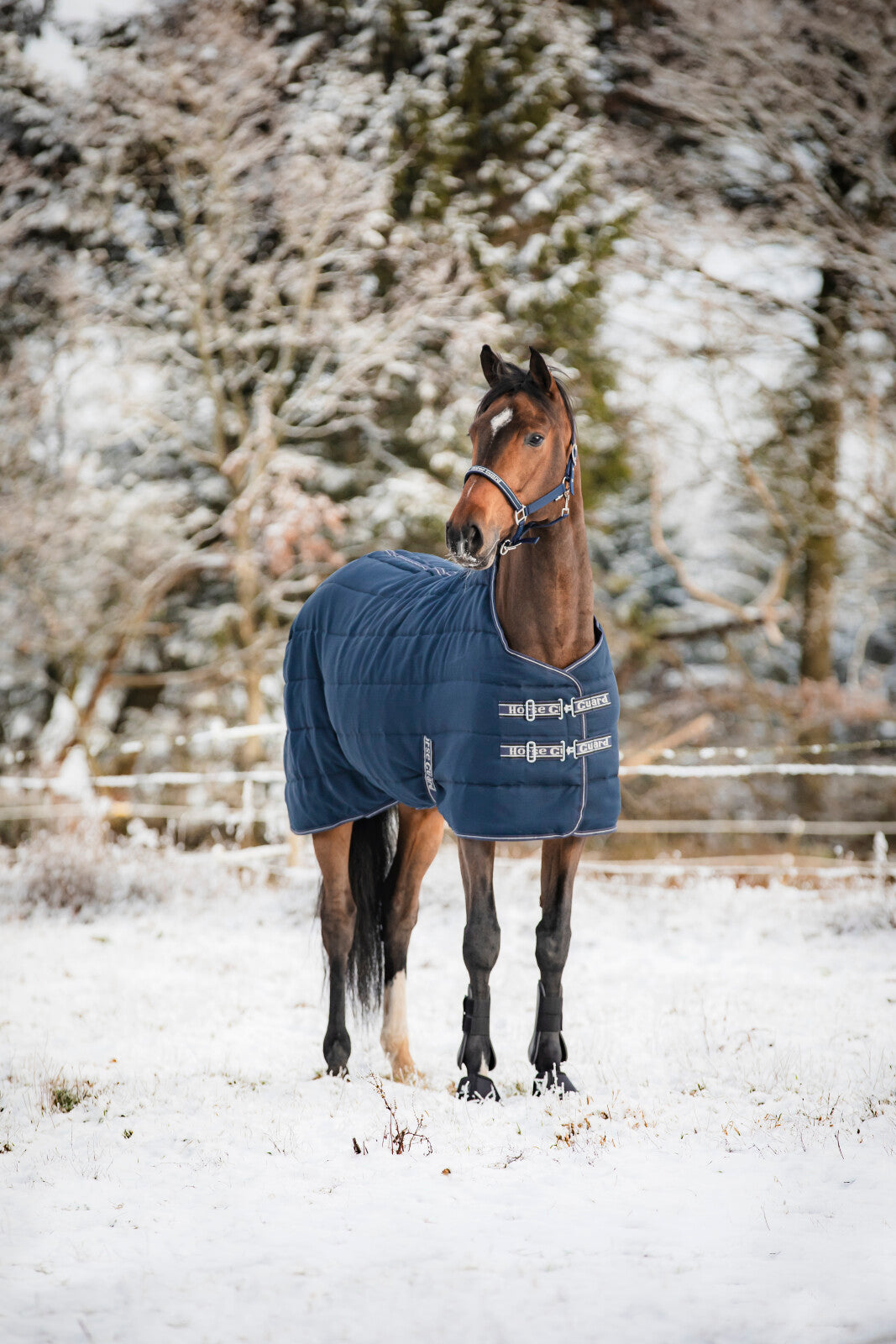 HorseGuard Sophie 600D stalddækken 300g