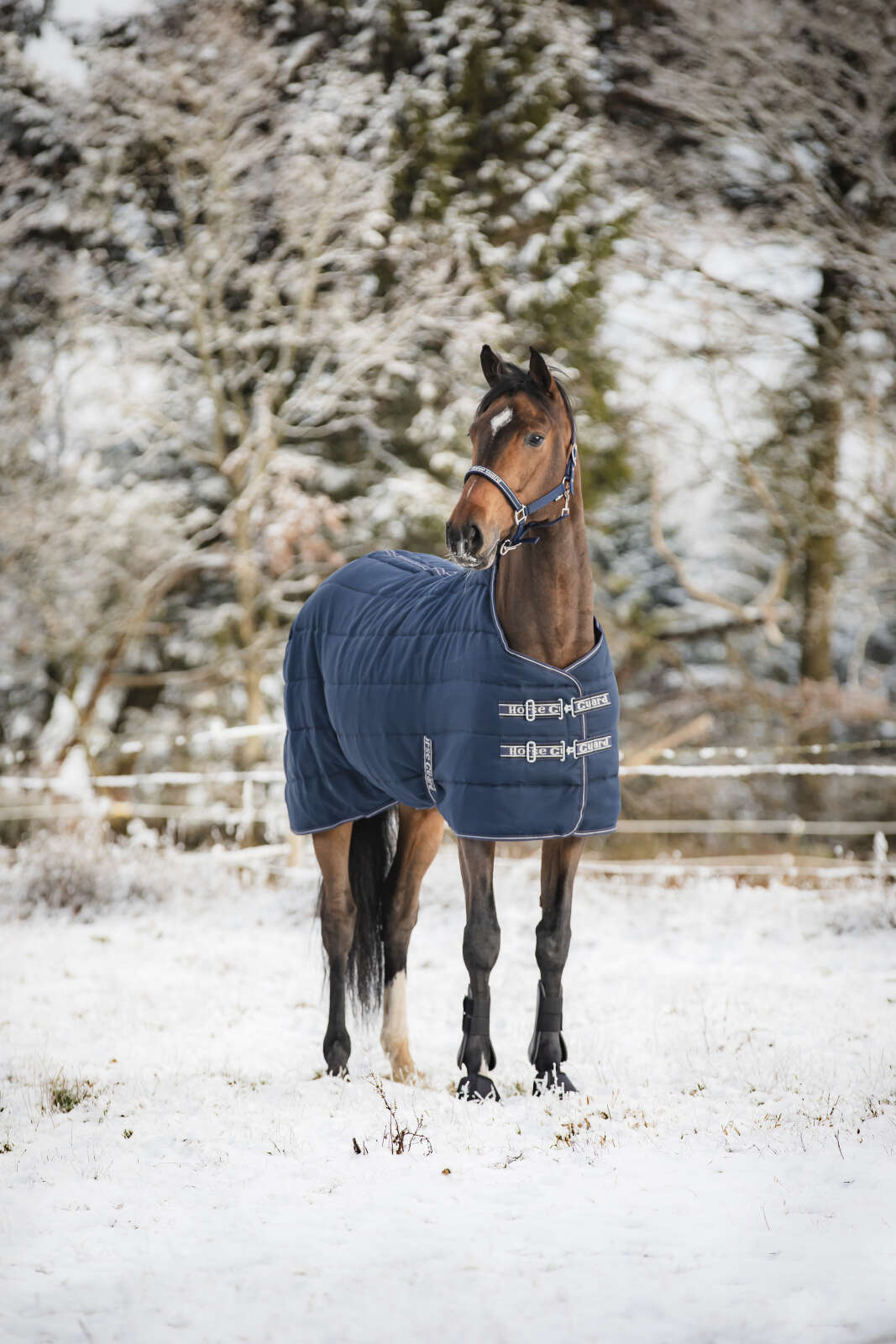 HorseGuard Sophie 600D Stalddækken 100g