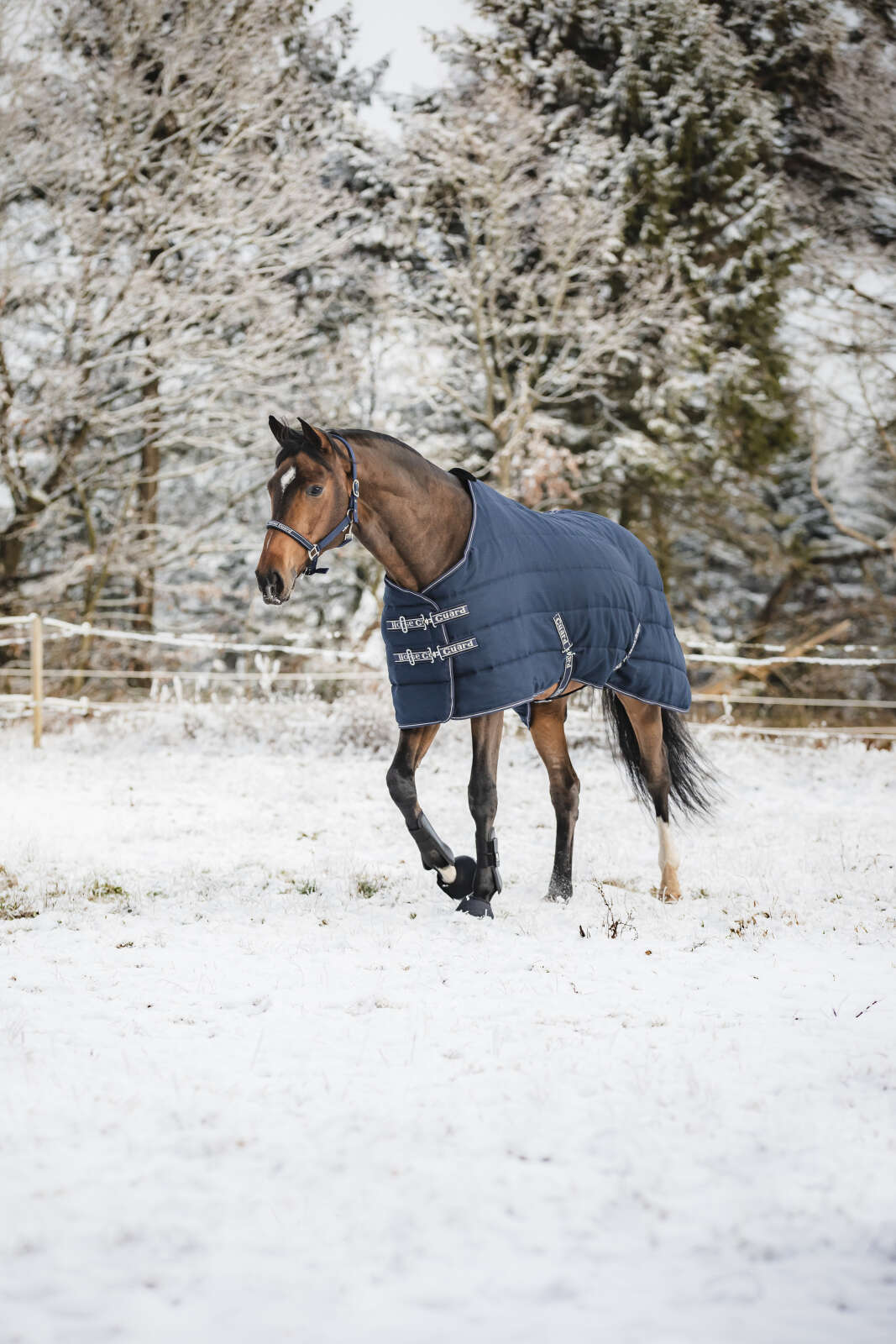 Horse Guard Sophie 600D stalldekken 100g