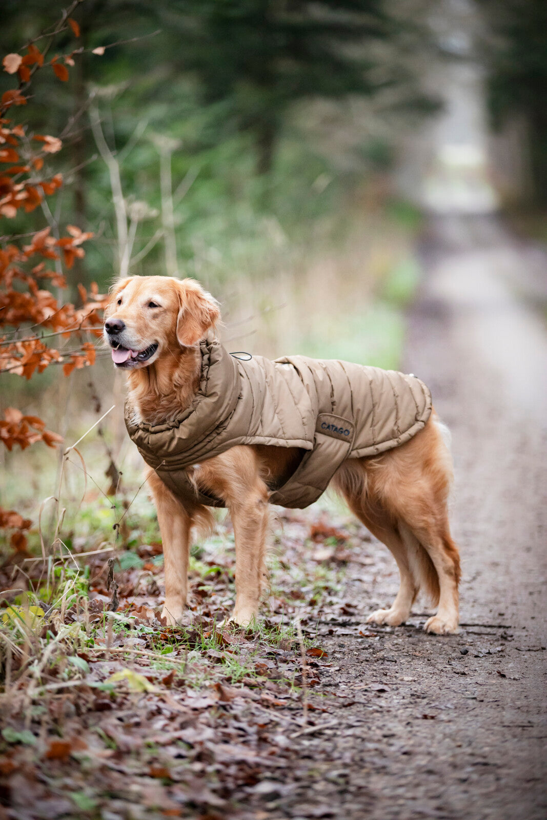 CATAGO FIR-Tech puffer dog rug