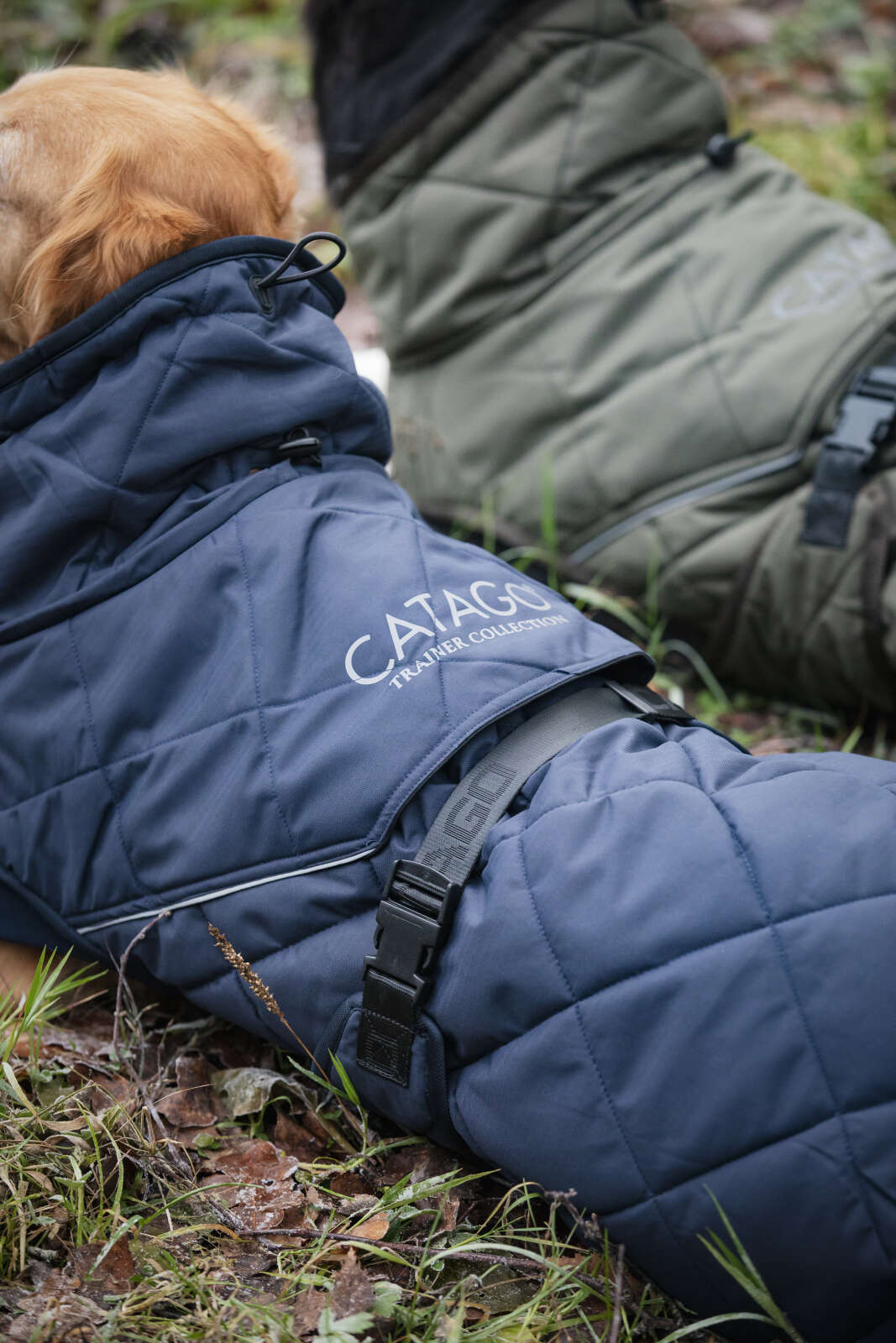 CATAGO Fir-Tech Trainer Dog rug