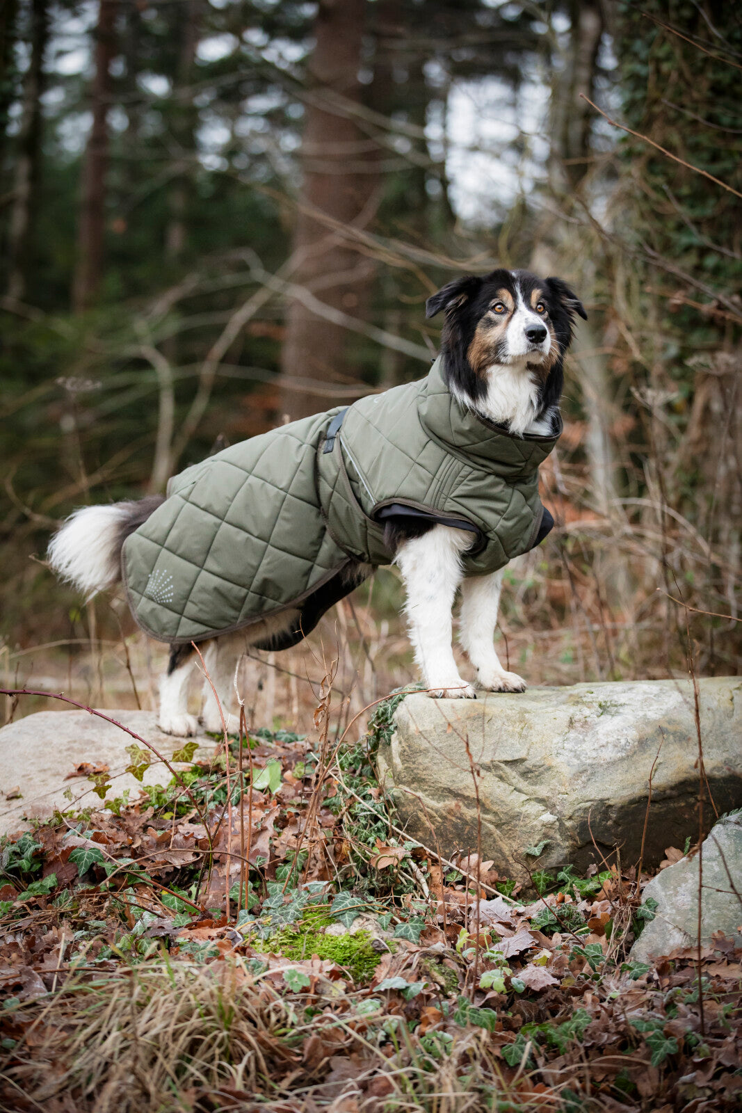 CATAGO FIR-Tech Trainer hundedækken