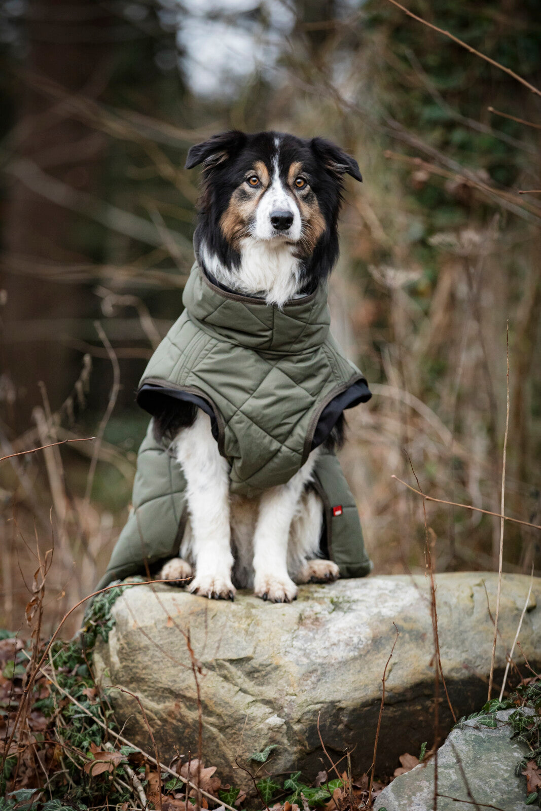 CATAGO FIR-Tech Trainer hundedækken