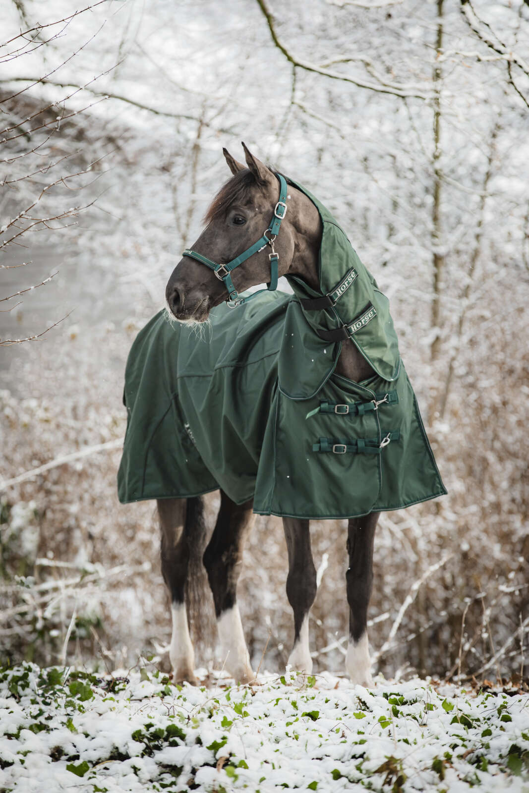 Horse Guard Adapting 1200D turnout-dekken, 0g