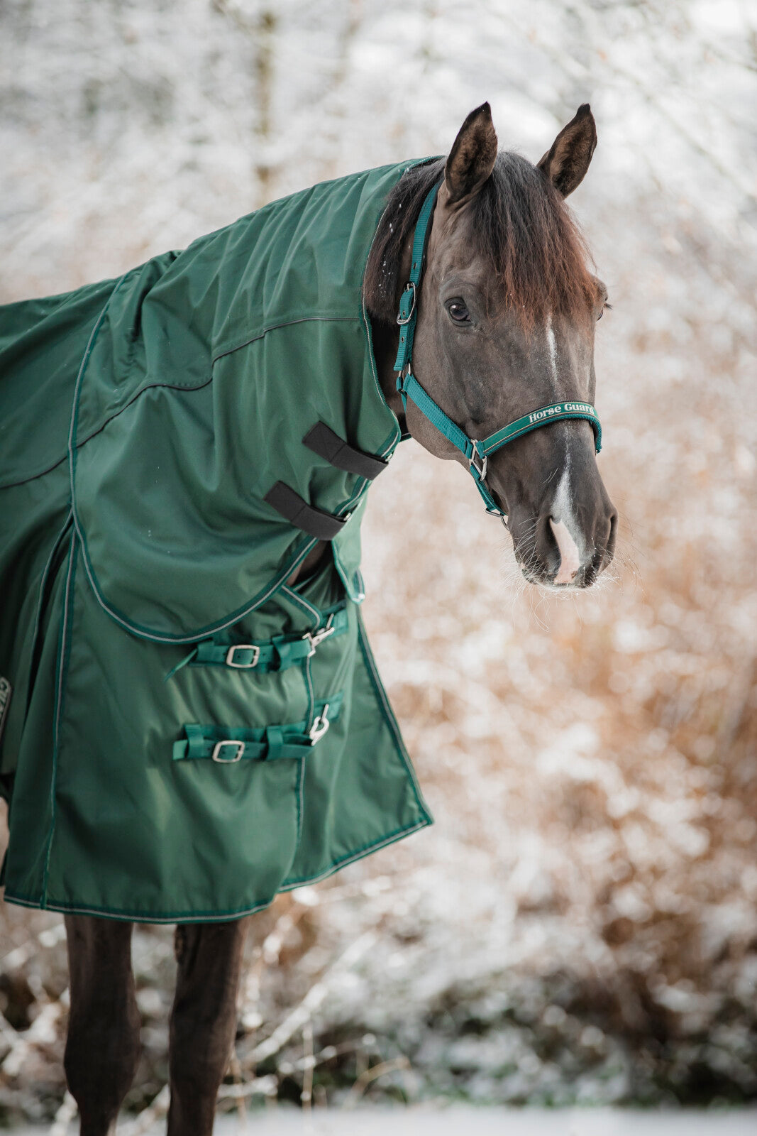Horse Guard Adapting 1200D turnout-dækken 0g