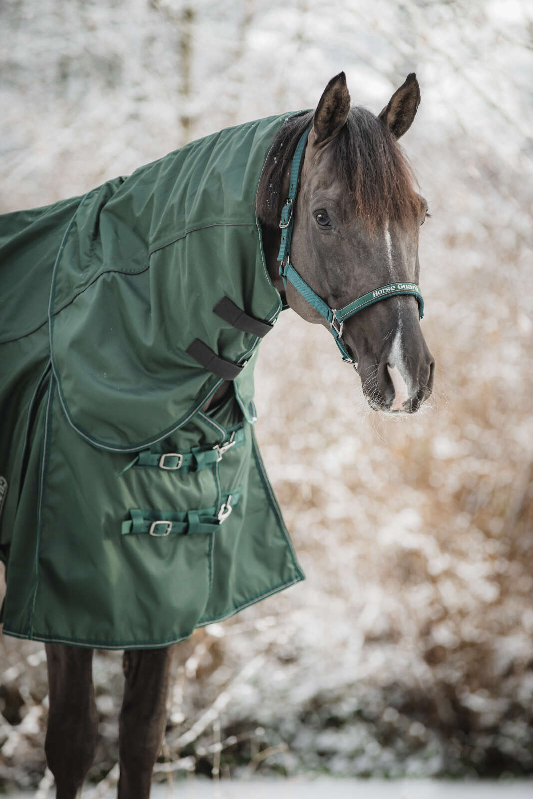Horse Guard Adapting 1200D turnout-dekken, 0g