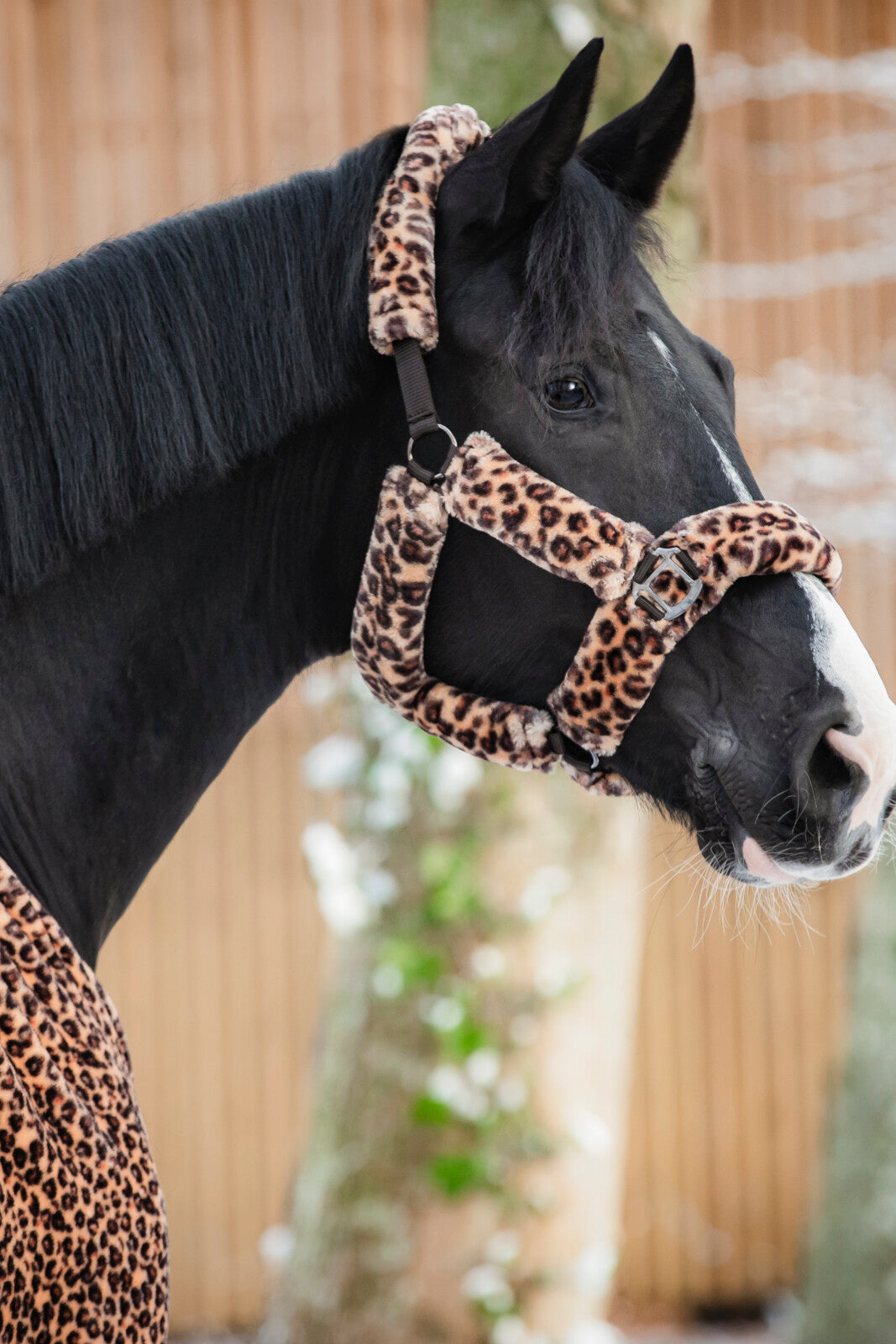 HorseGuard Leopard grimma