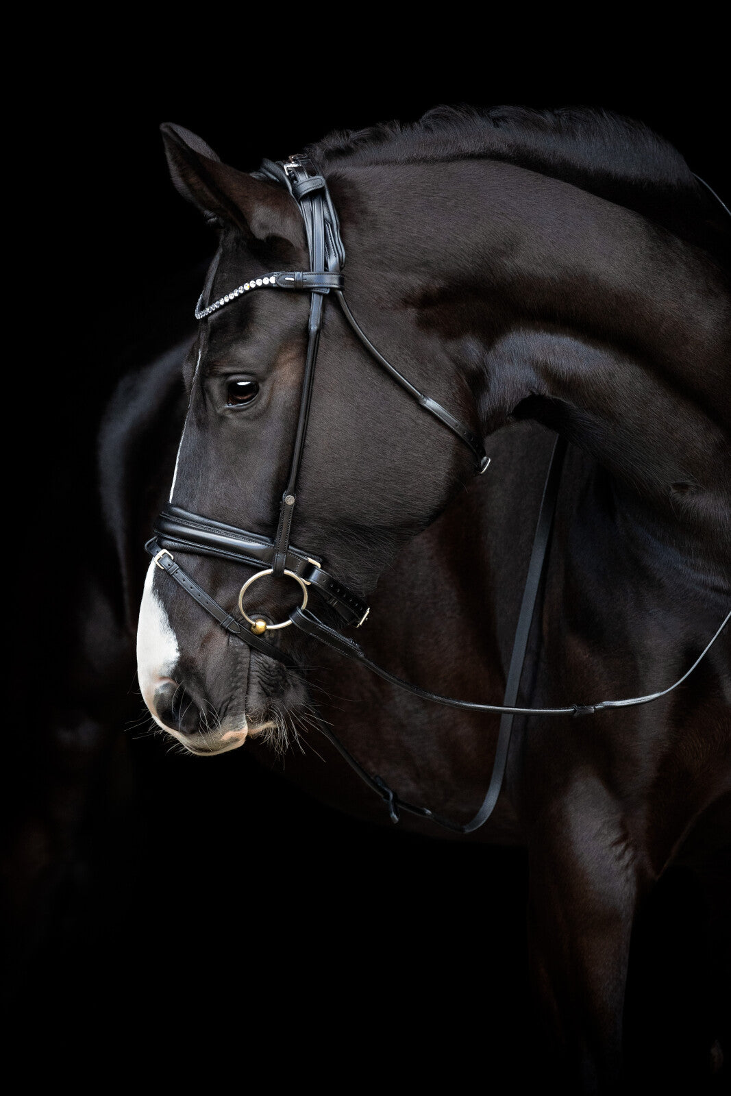 CATAGO Shay rundsyet trense kombineret m/tbt