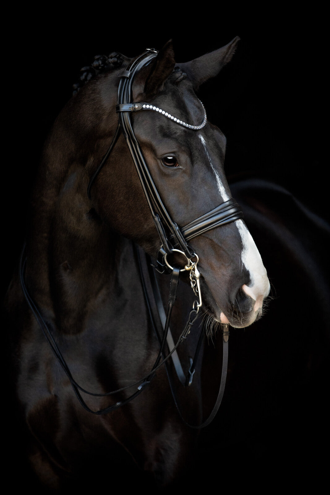 CATAGO Santo rundsyet kandartrense