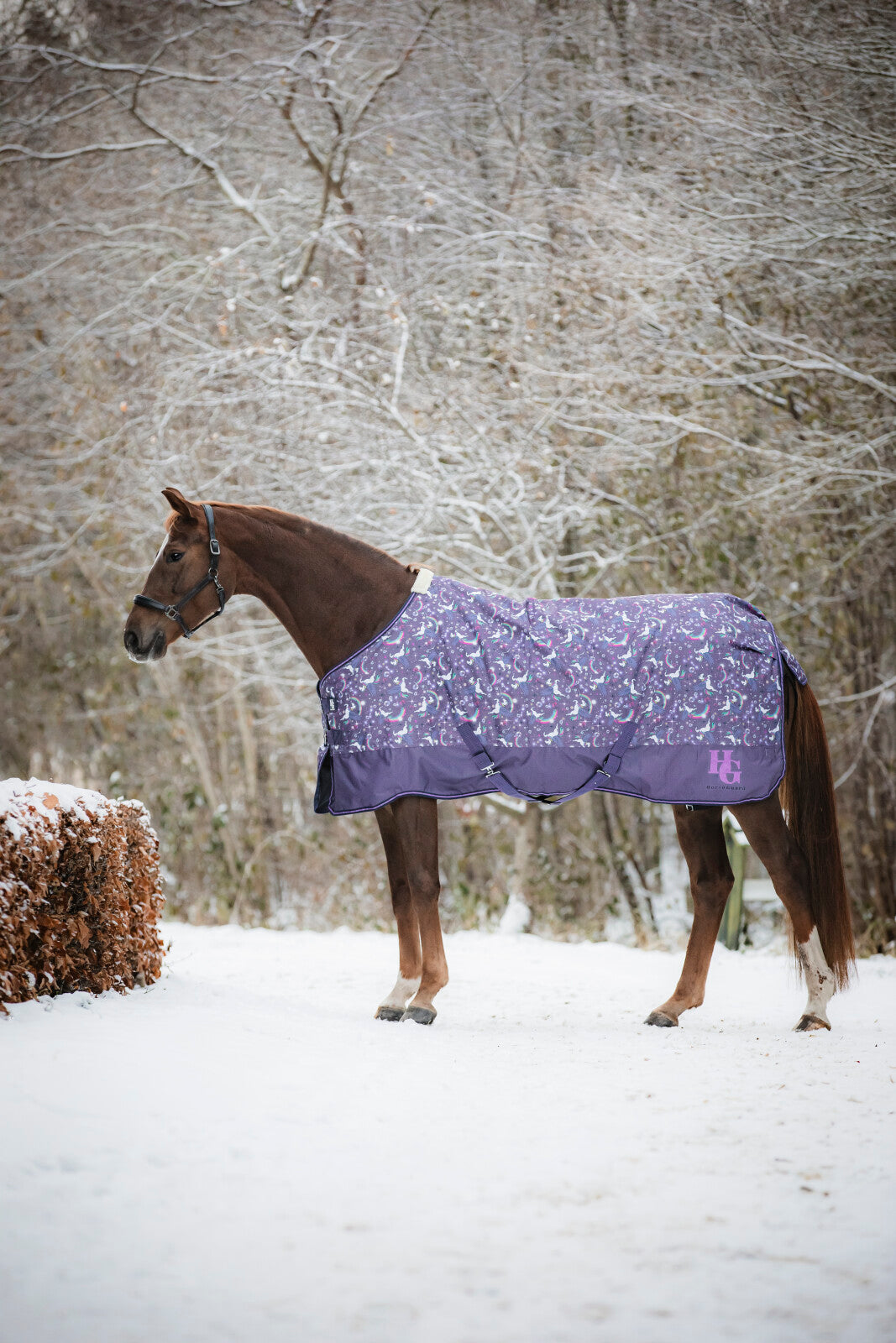 HorseGuard Josh Turnout rug 600D 100g