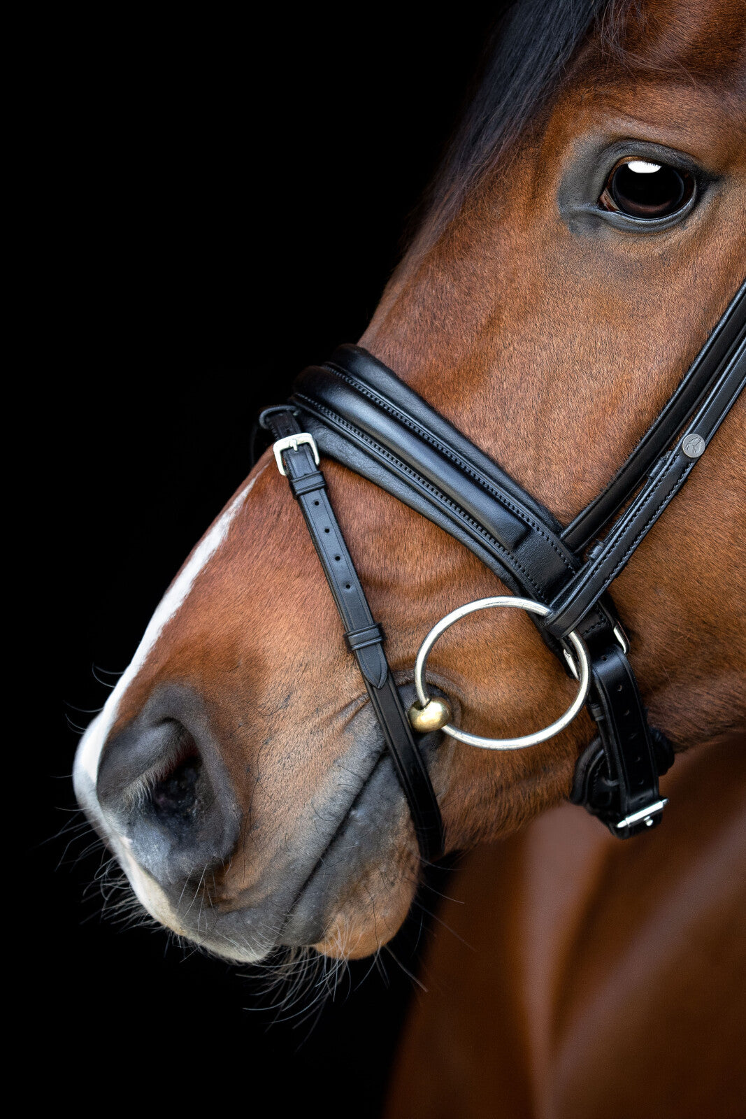 CATAGO Savi Trense kombineret m/ tilbagetræk