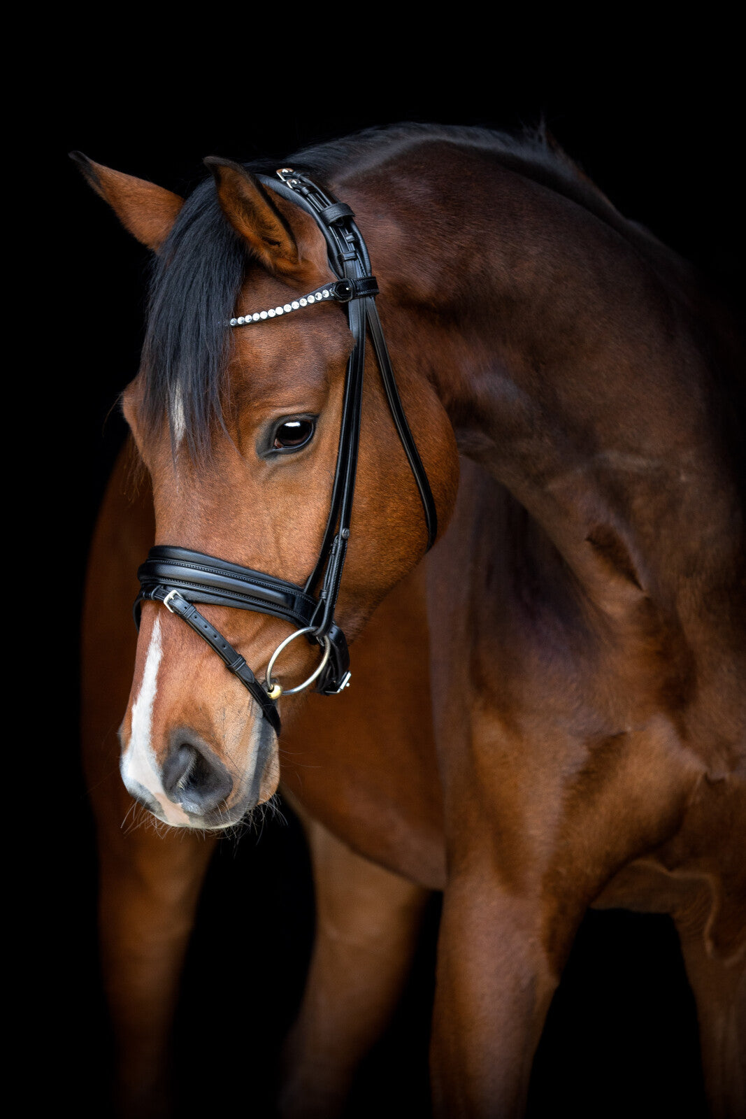 CATAGO Savi Trense kombineret m/ tilbagetræk