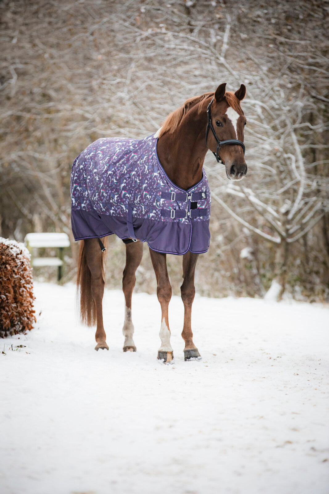 HorseGuard Josh Turnout rug 600D 100g