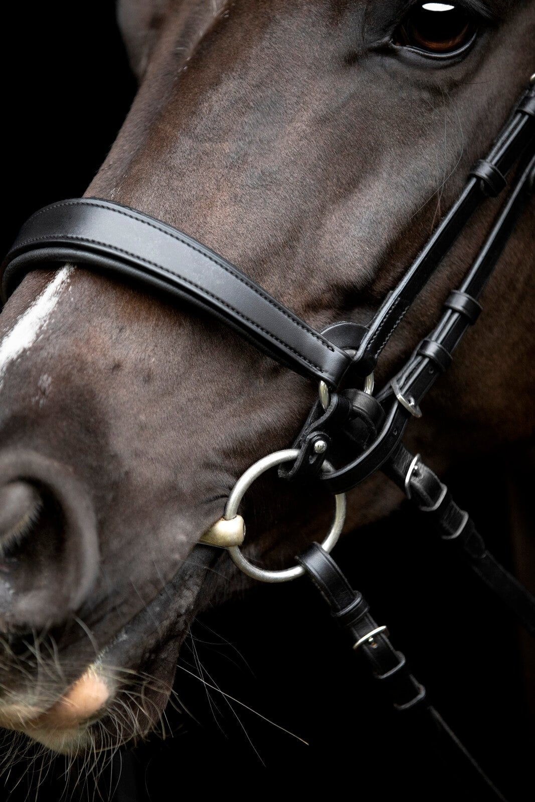 CATAGO Gentle connecting rings - Unamari