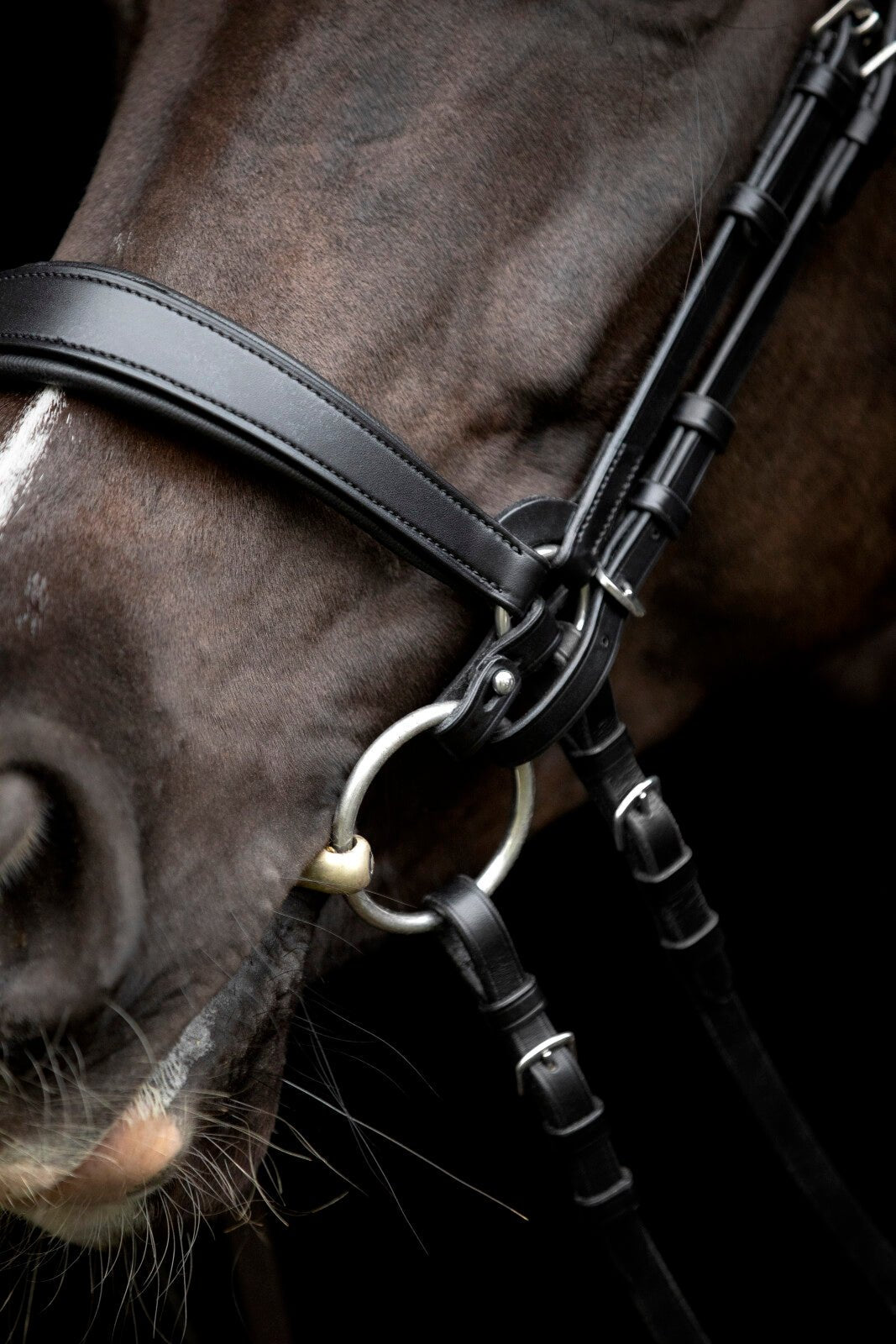 CATAGO Gentle connecting rings - Unamari