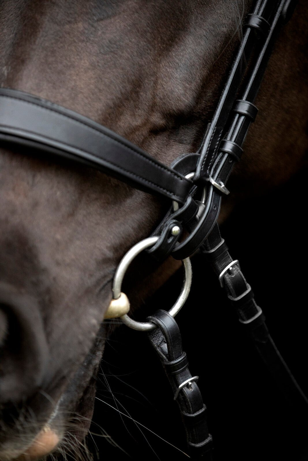 CATAGO Gentle connecting rings - Unamari