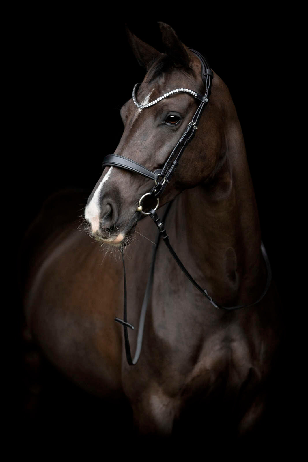 Catago Gentle cheekpieces