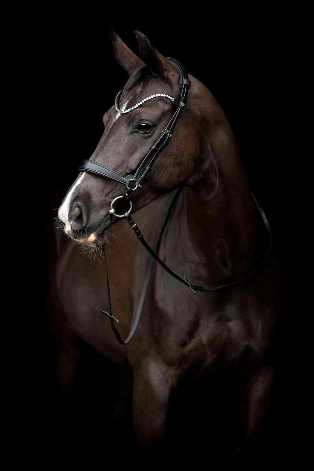 Catago Gentle cheekpieces