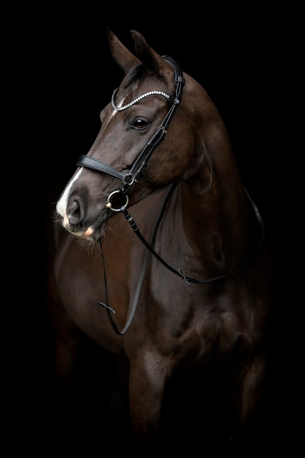 CATAGO Gentle cheekpieces - Unamari