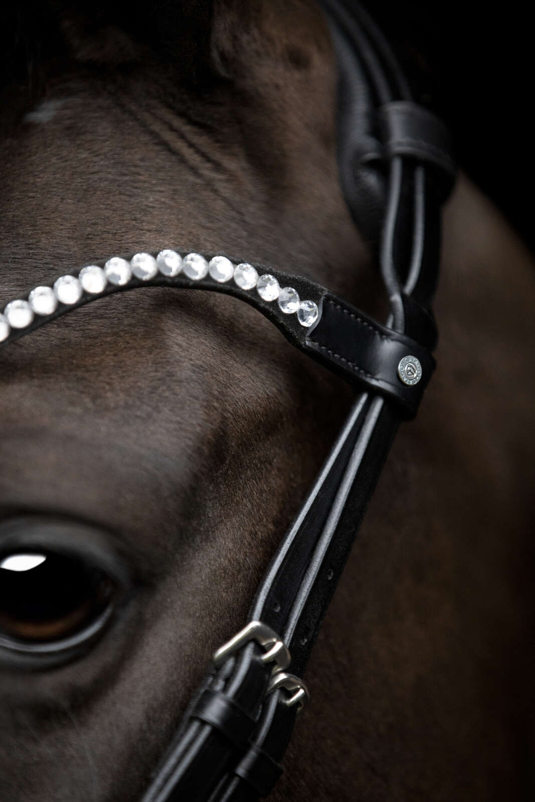 Catago Gentle browband