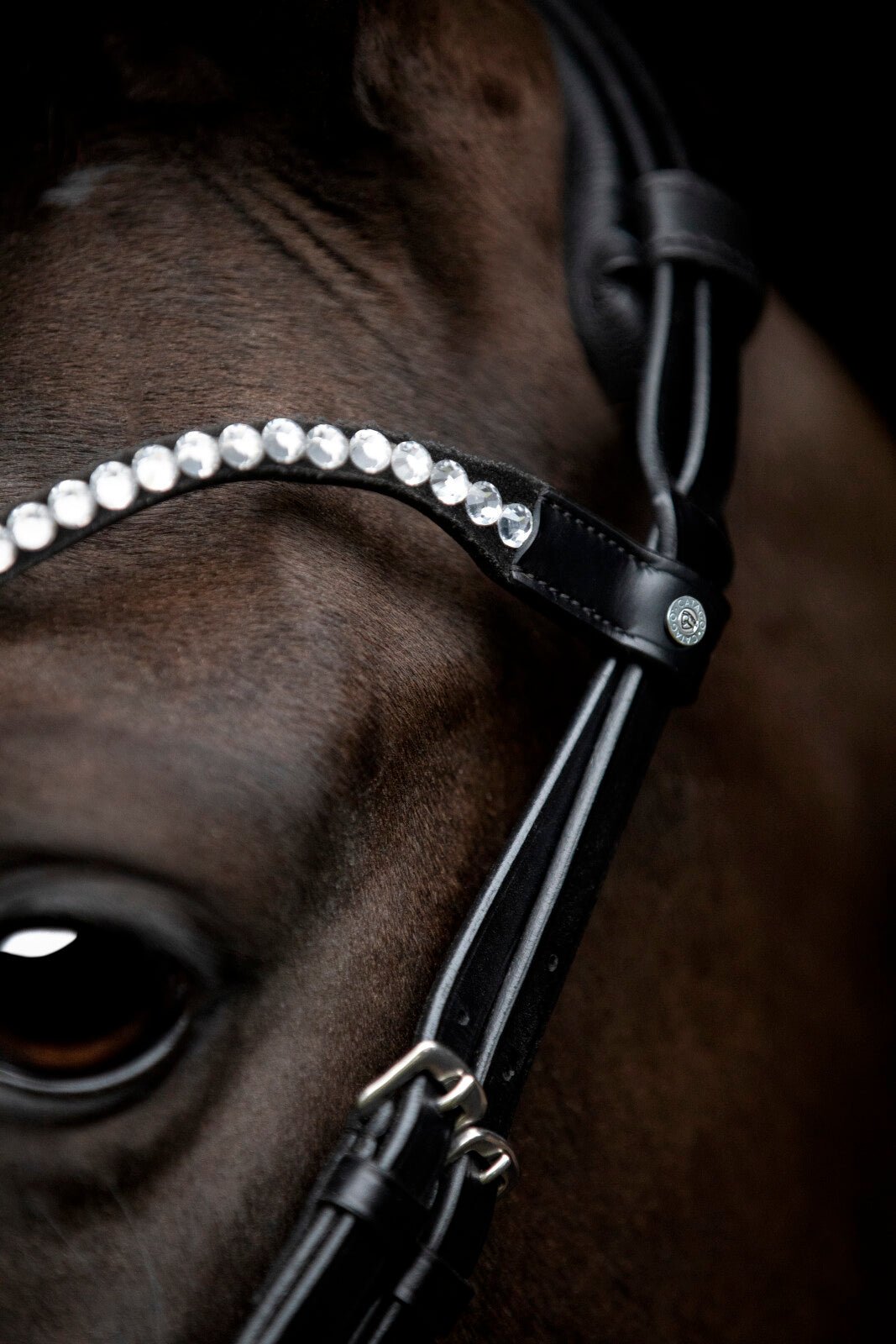 CATAGO Gentle browband - Unamari