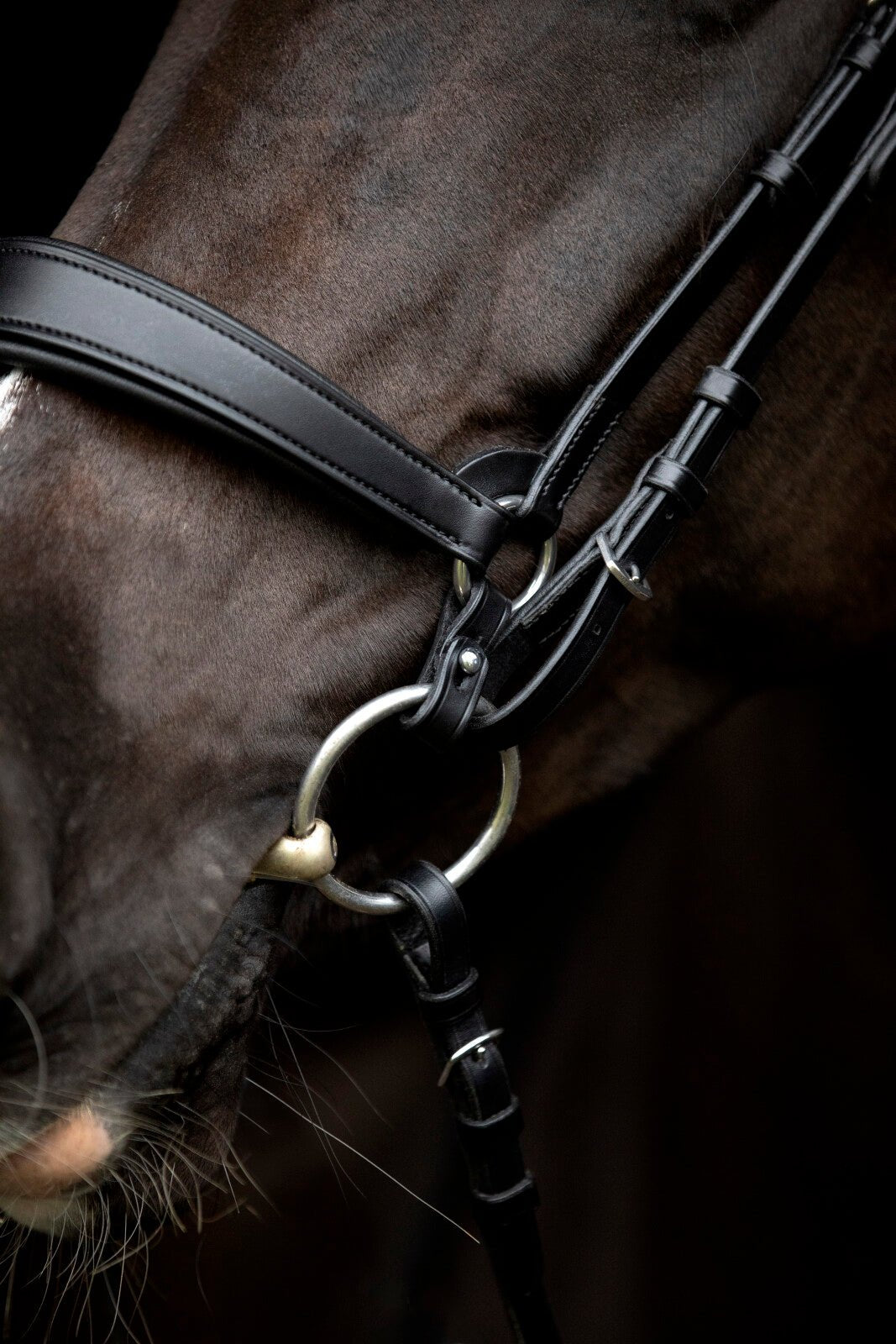 CATAGO Gentle connecting rings - Unamari