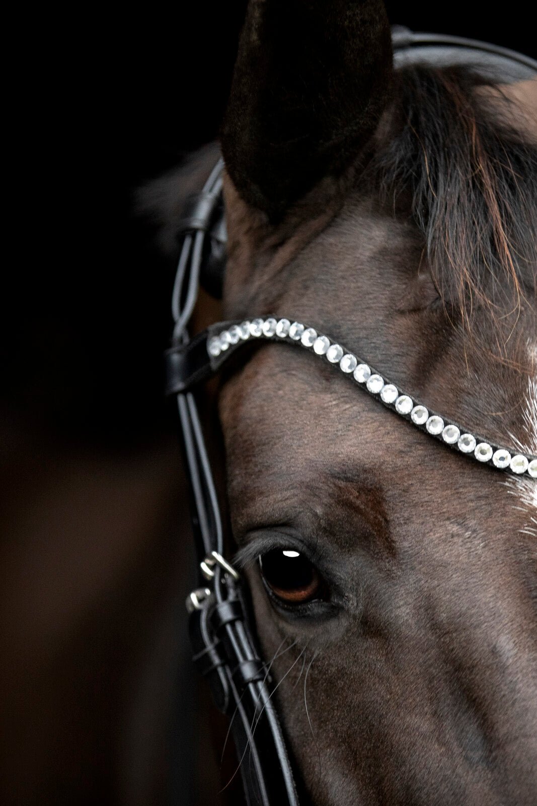 CATAGO Gentle browband - Unamari