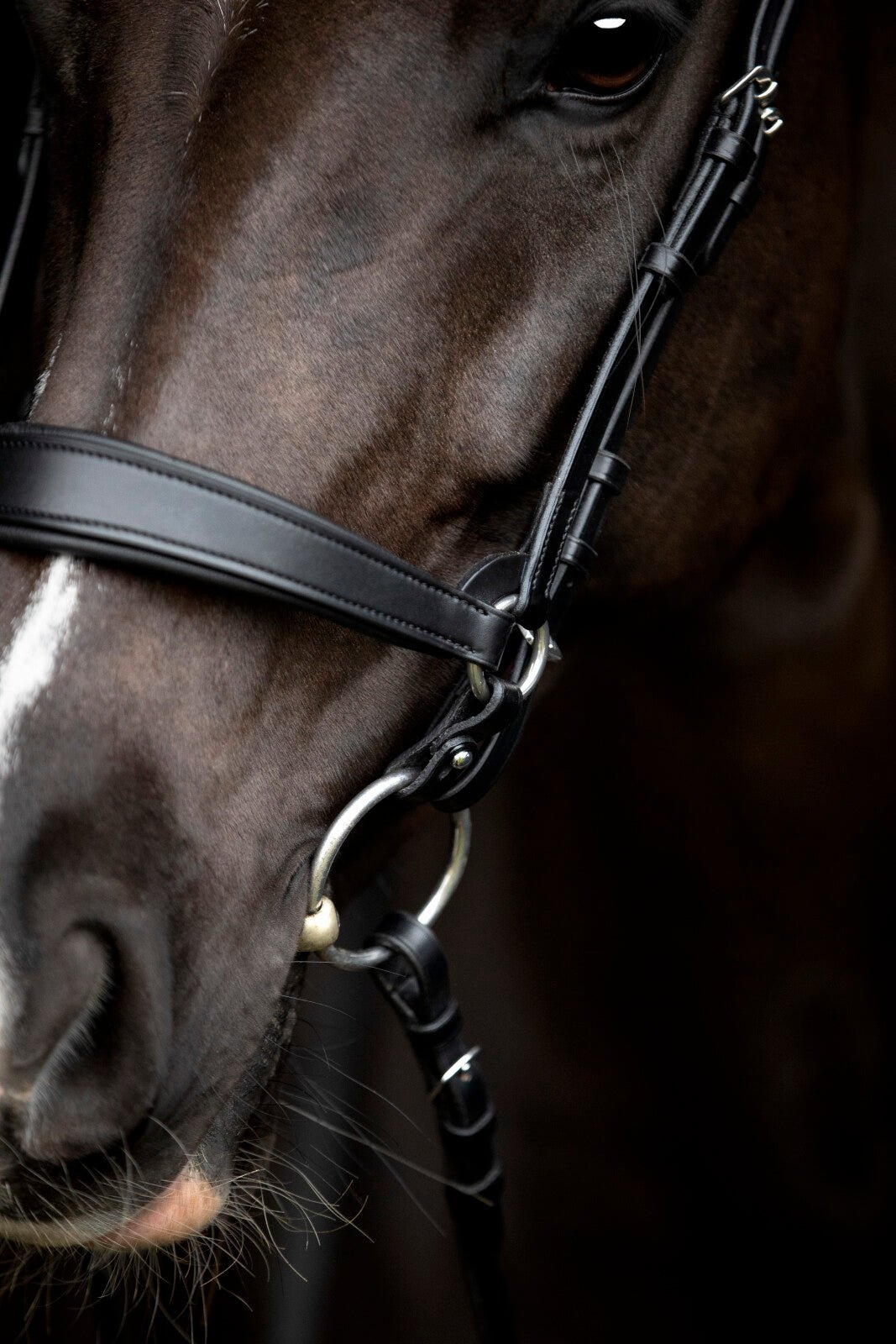 CATAGO Gentle connecting rings - Unamari