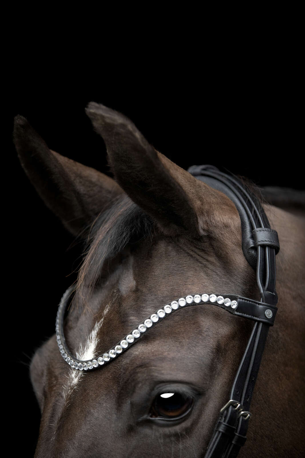 Catago Gentle browband