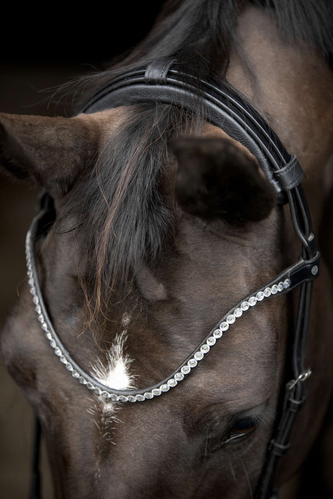 Catago Gentle padded headpiece