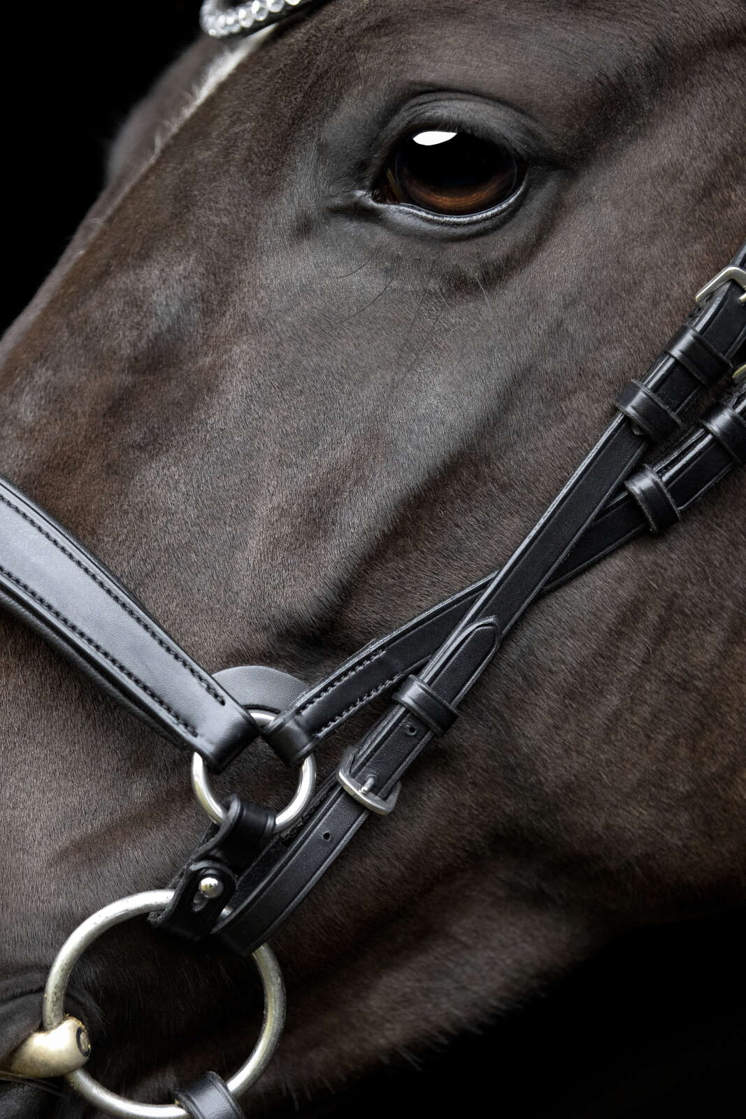 Catago Gentle cheekpieces