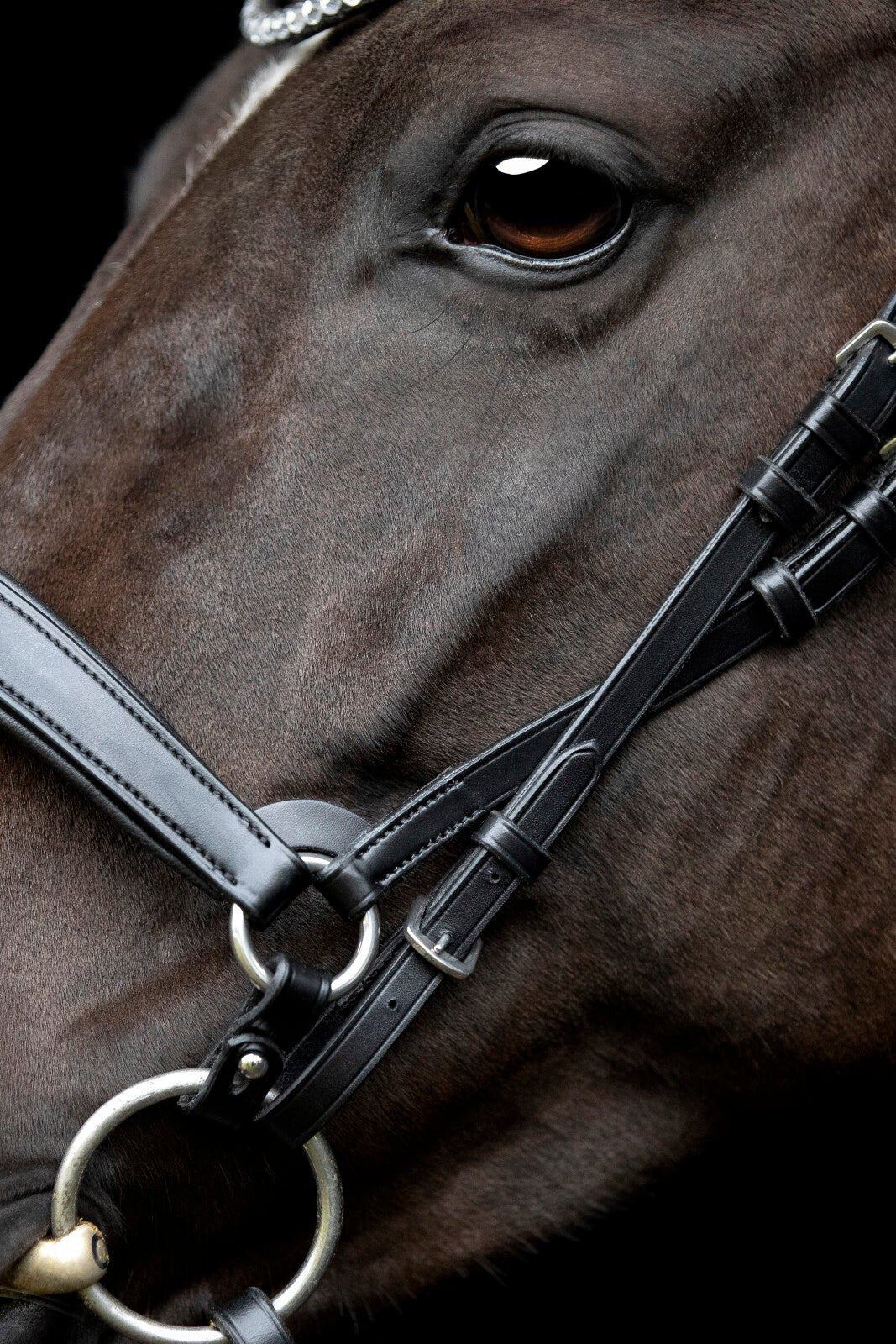 CATAGO Gentle cheekpieces - Unamari