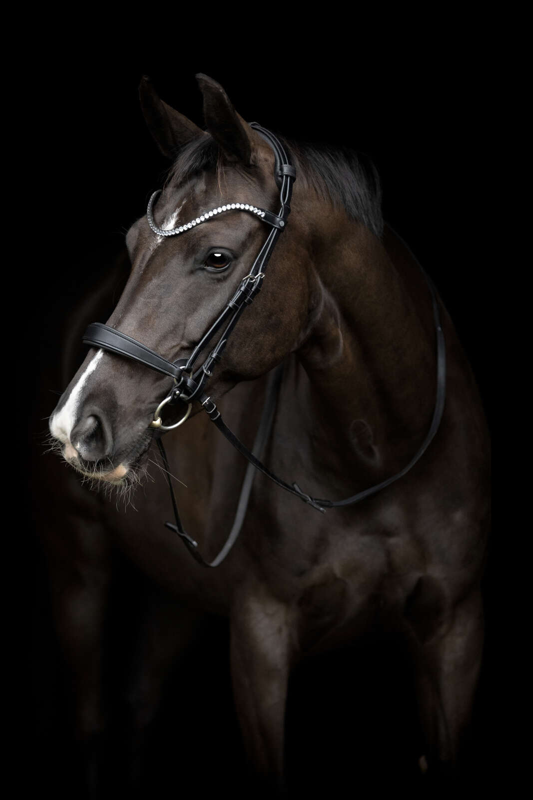 Catago Gentle cheekpieces