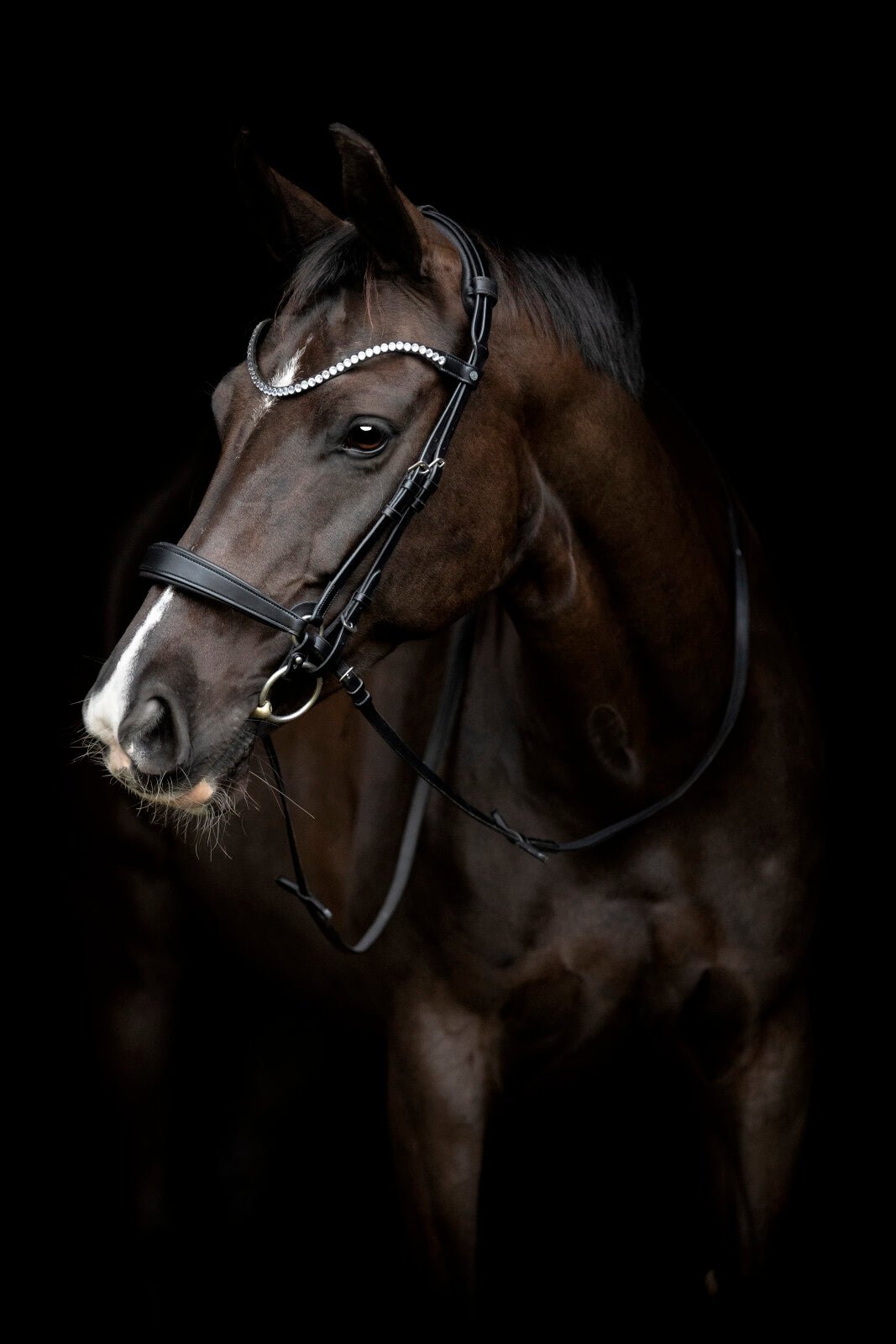 CATAGO Gentle cheekpieces - Unamari