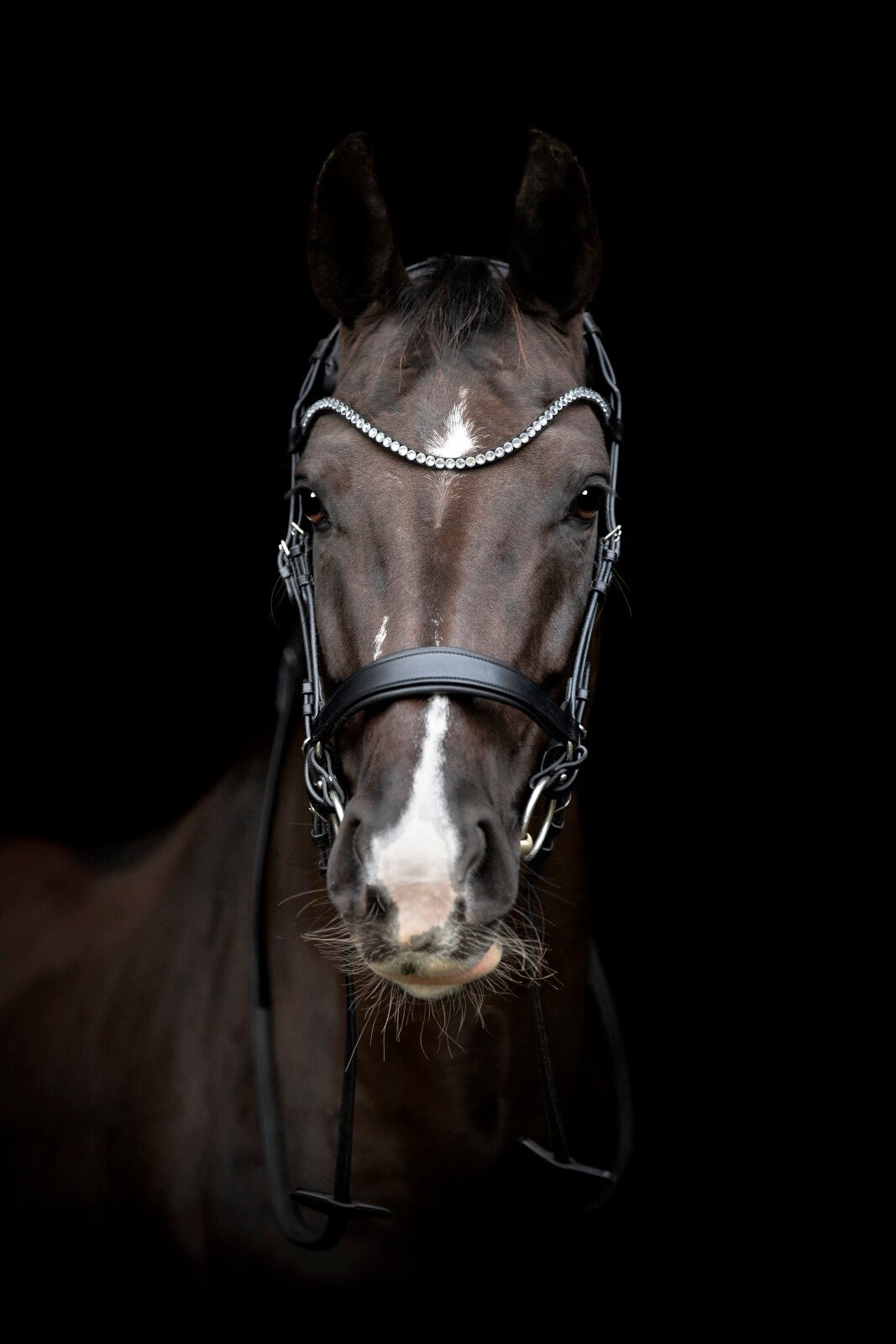 CATAGO Gentle browband - Unamari