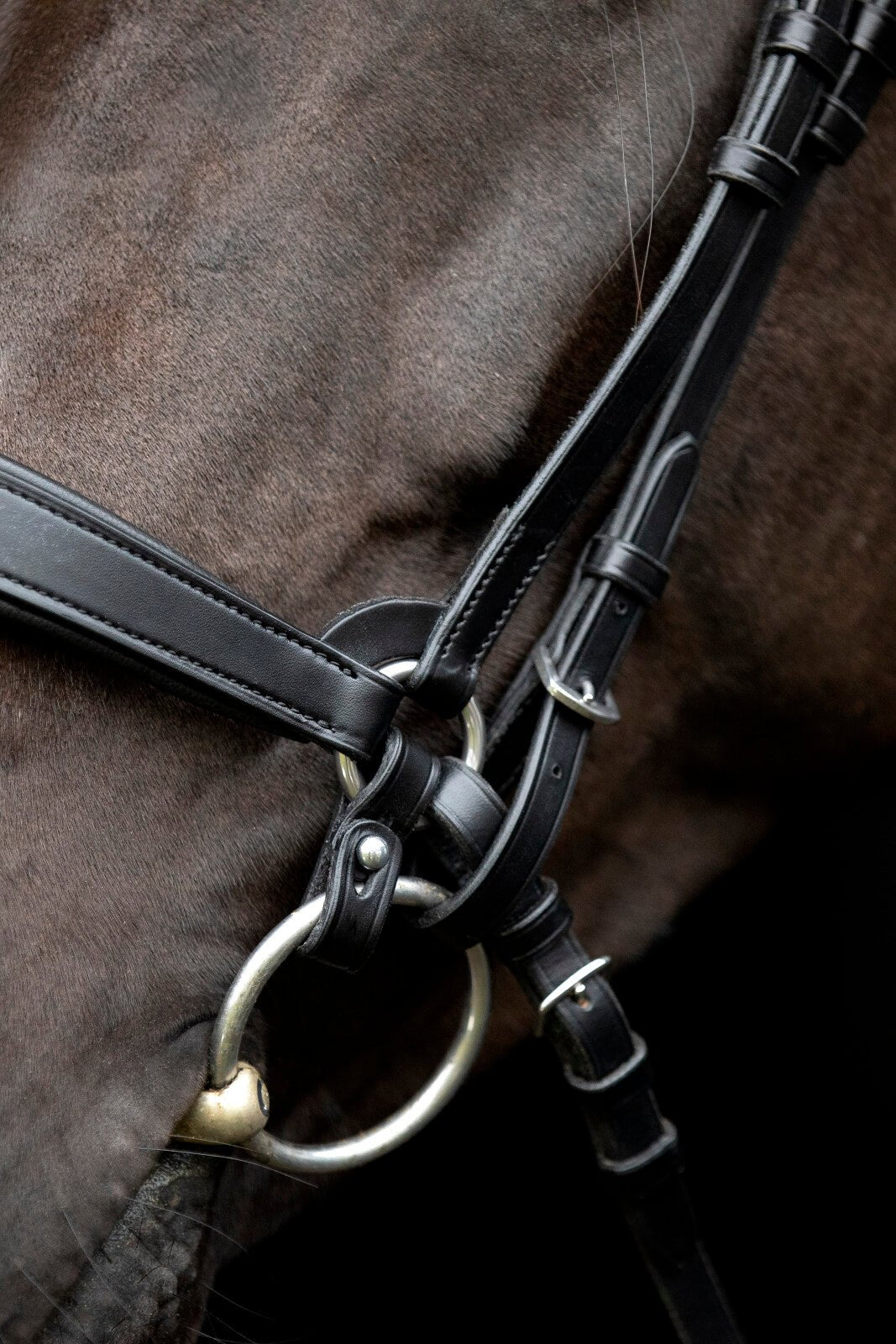 CATAGO Gentle connecting rings - Unamari