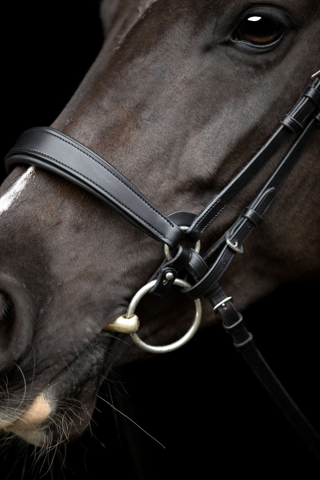 Catago Gentle noseband with connection rings