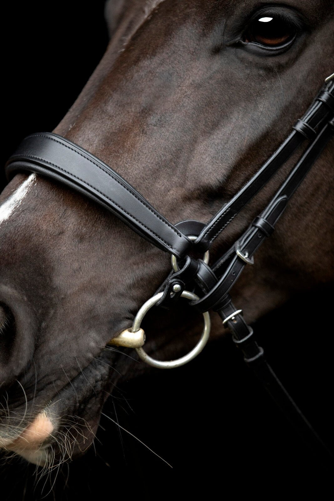 CATAGO Gentle noseband with connection rings - Unamari