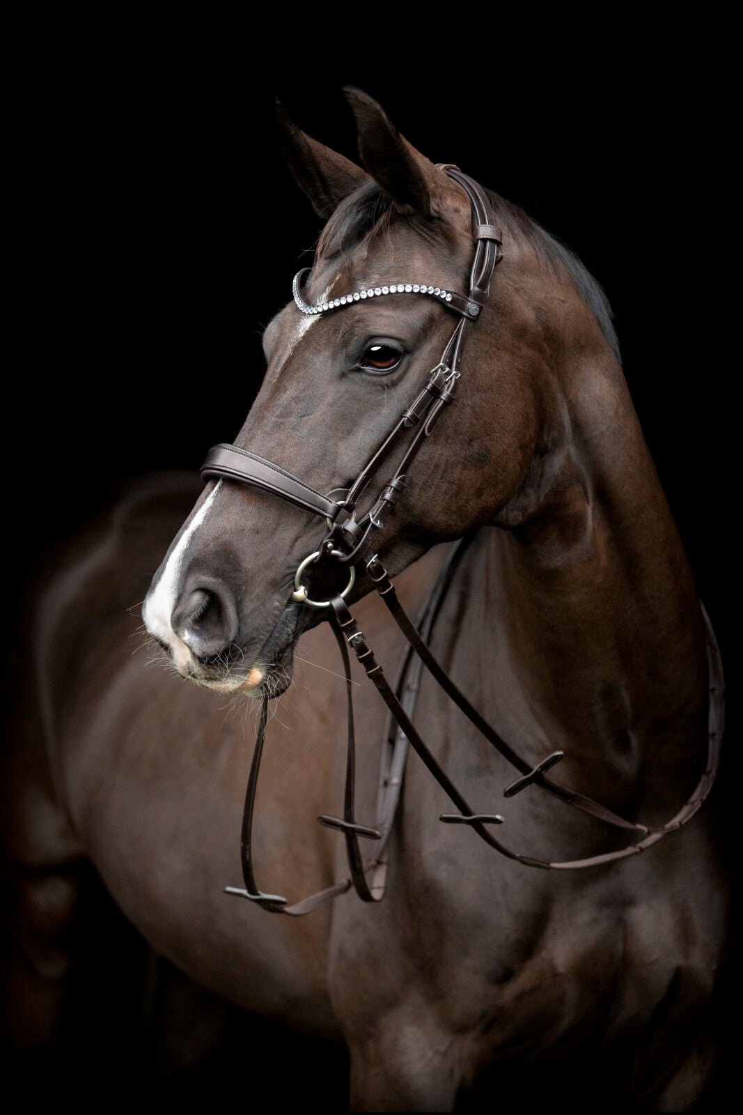 CATAGO Gentle cheekpieces - Unamari