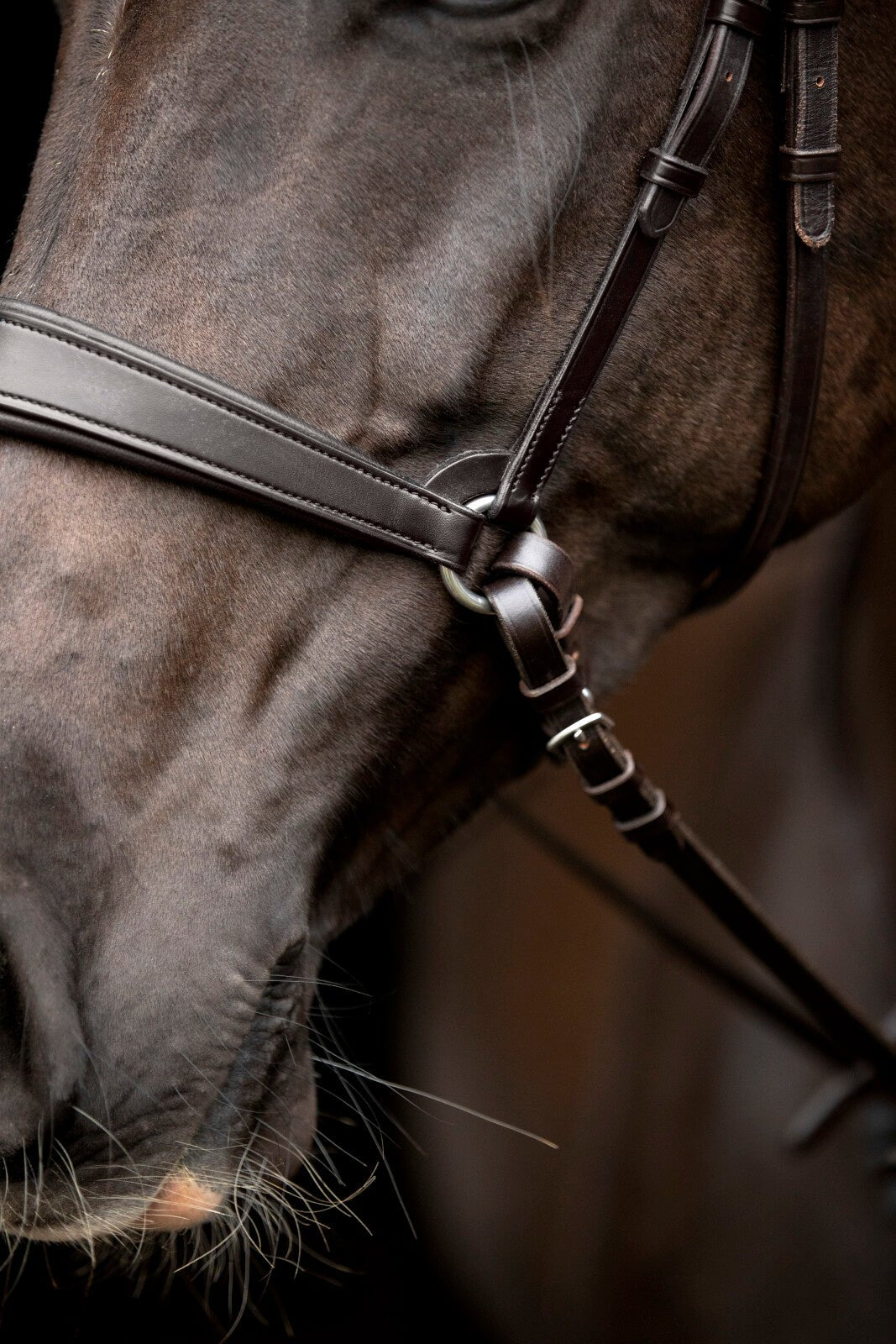 CATAGO Gentle noseband with connection rings - Unamari