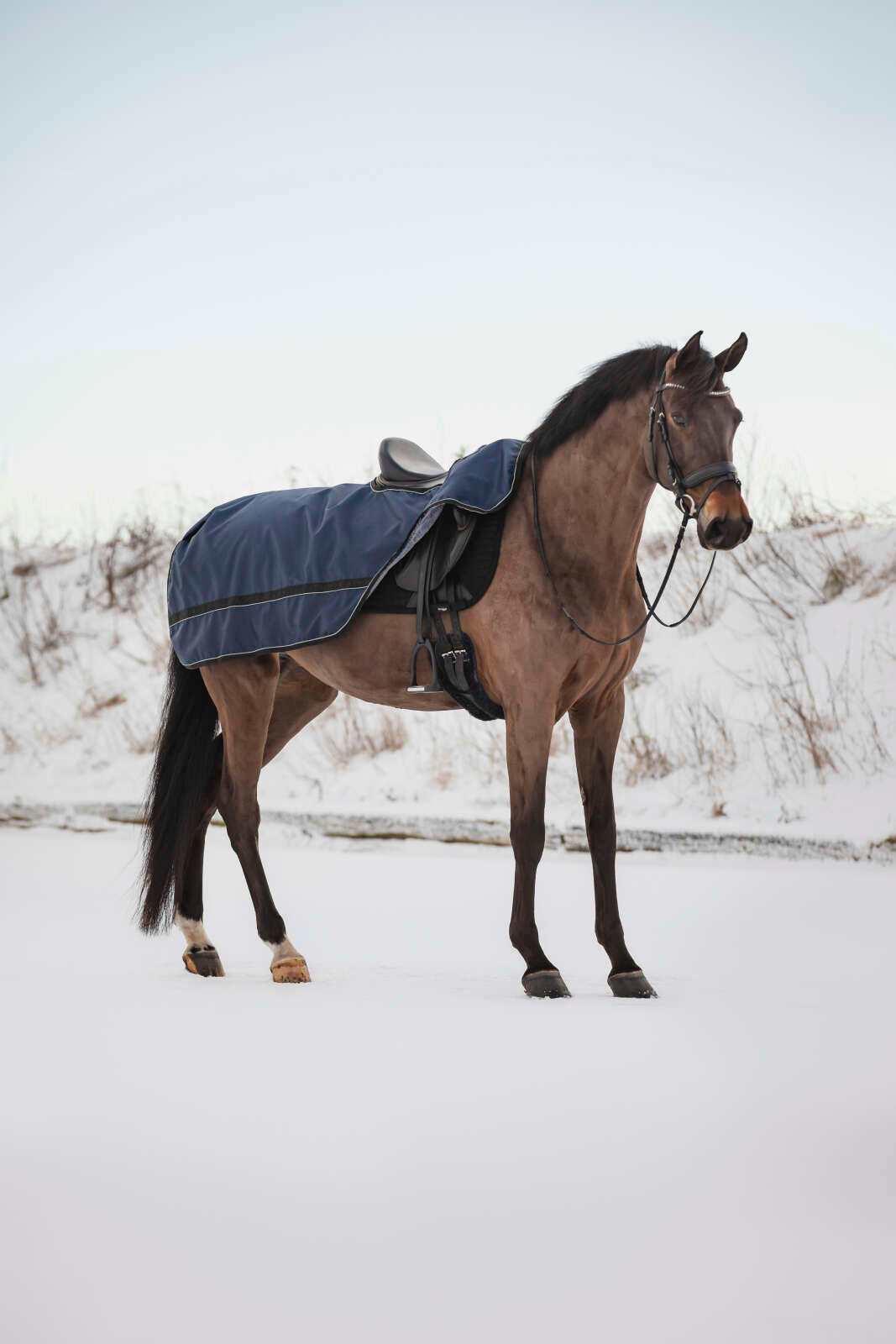 Catago Becca 840 D ridedekken