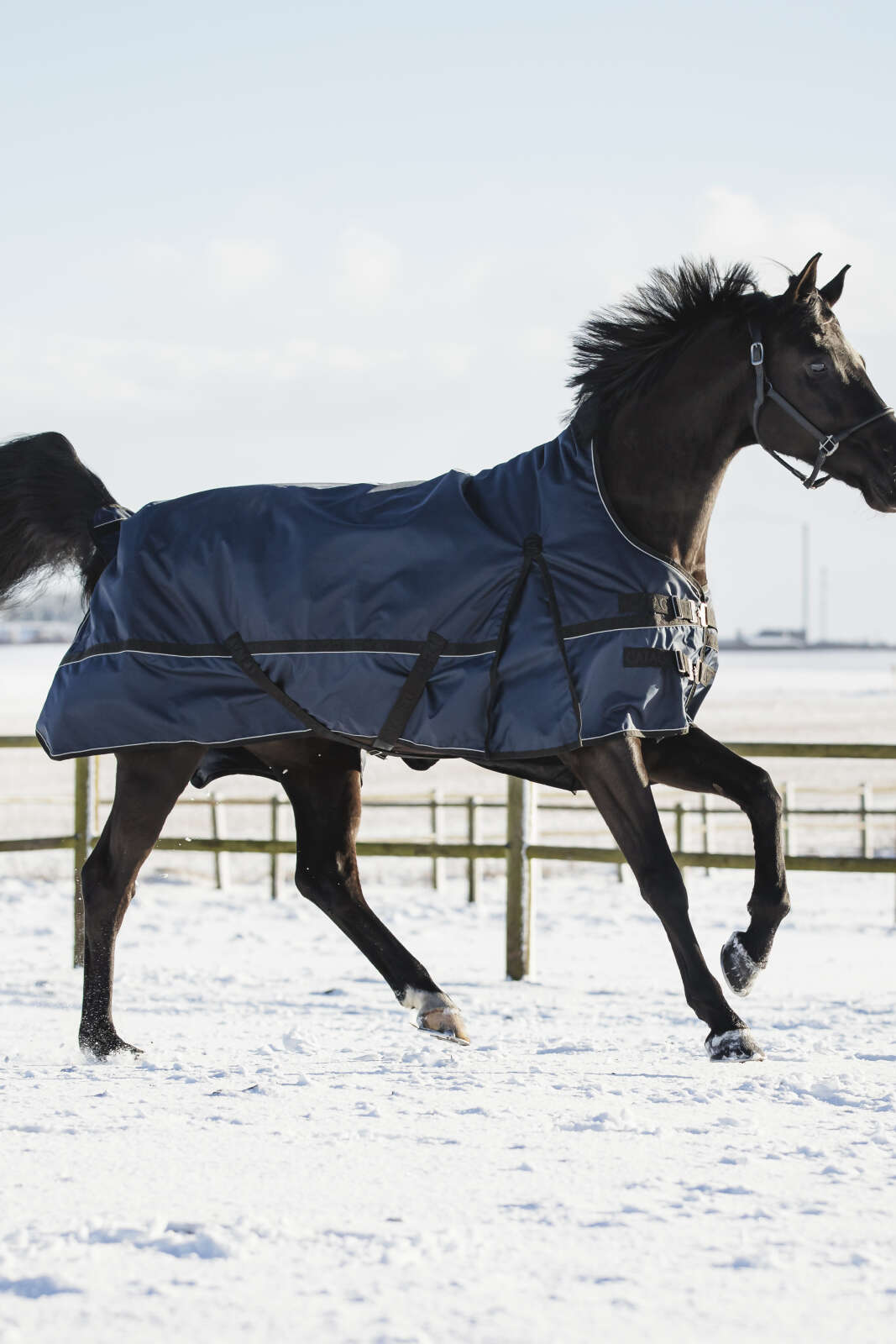 Catago Barlow 840D Turnout rug 300g