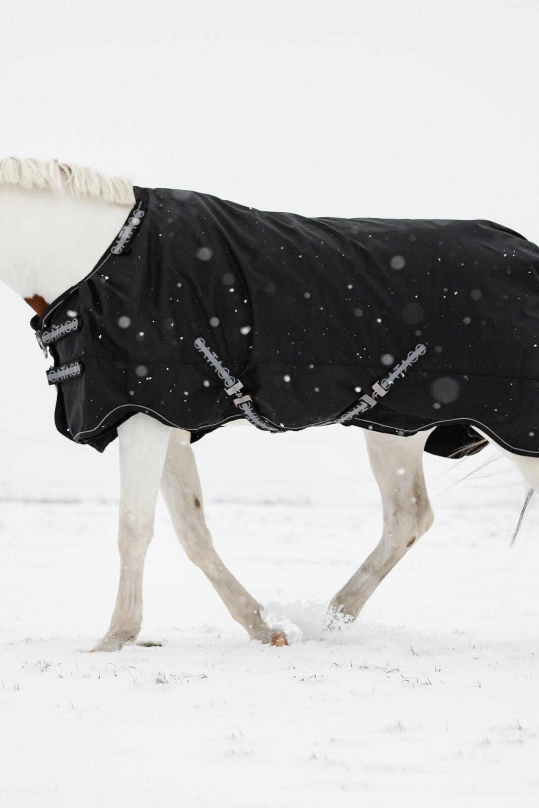 CATAGO Fir-Tech Compound 1680D turnout täcke 0g