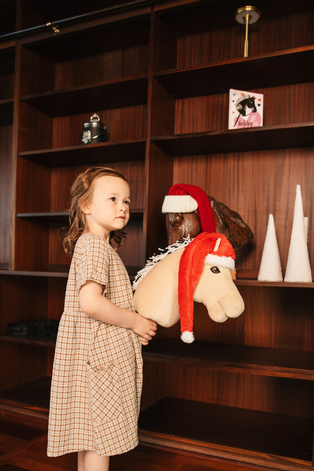 My Hobby Horse Christmas hat