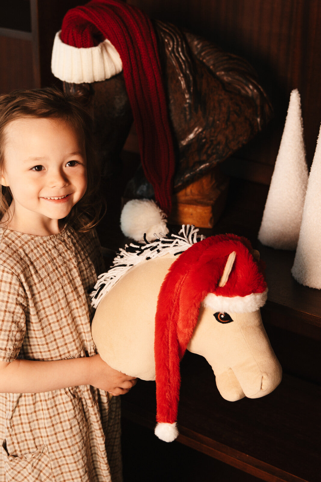 My Hobby Horse Christmas hat